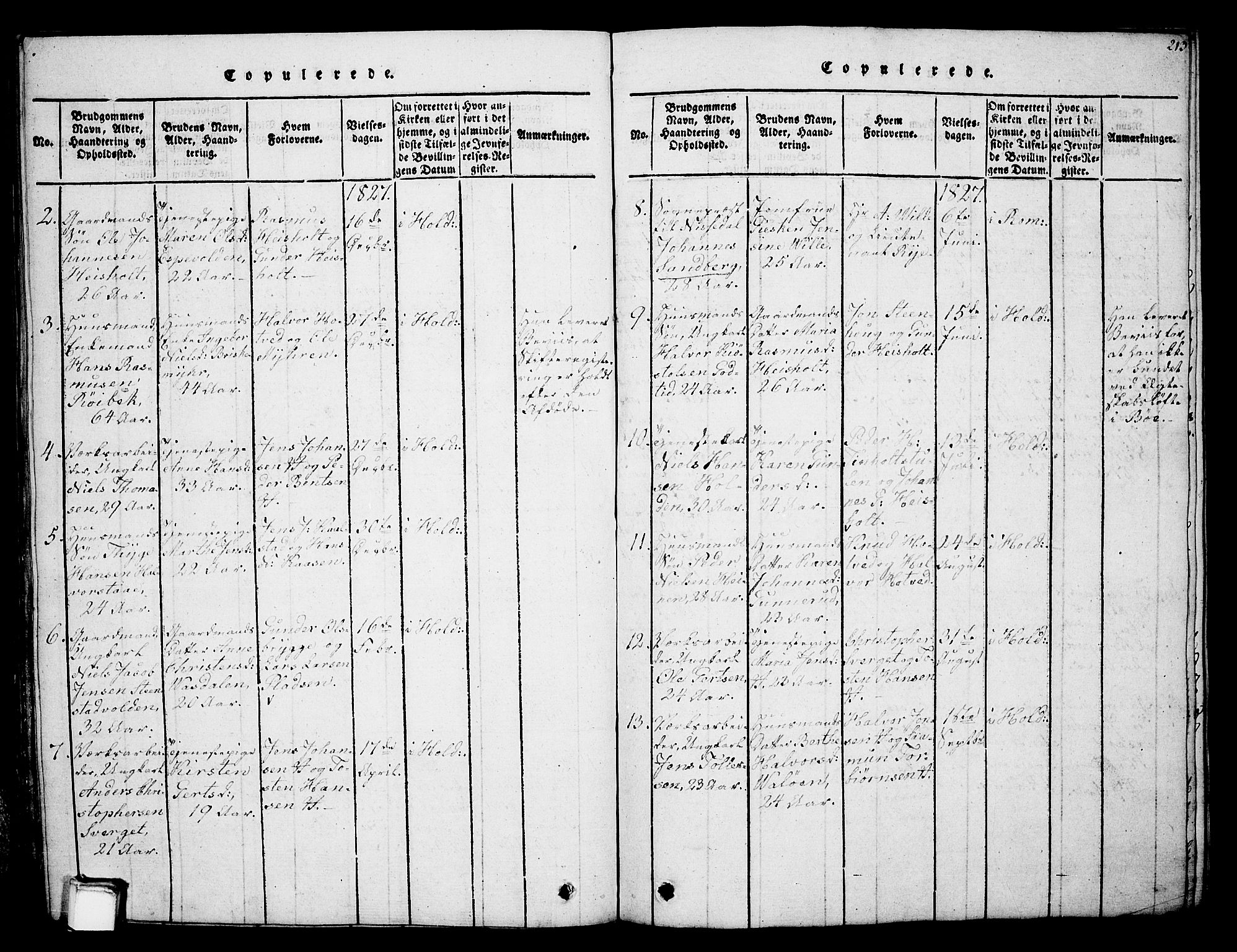 Holla kirkebøker, SAKO/A-272/G/Ga/L0001: Parish register (copy) no. I 1, 1814-1830, p. 213