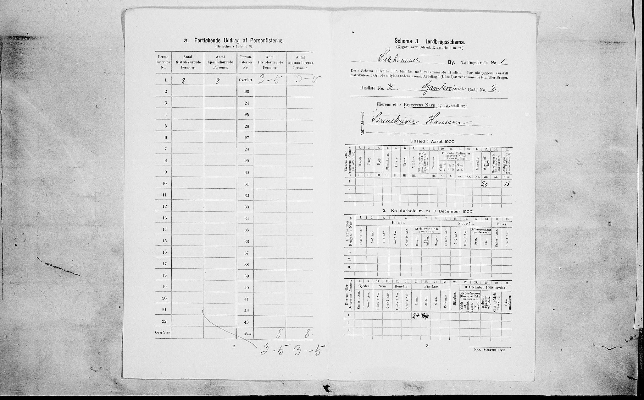 SAH, 1900 census for Lillehammer, 1900, p. 715