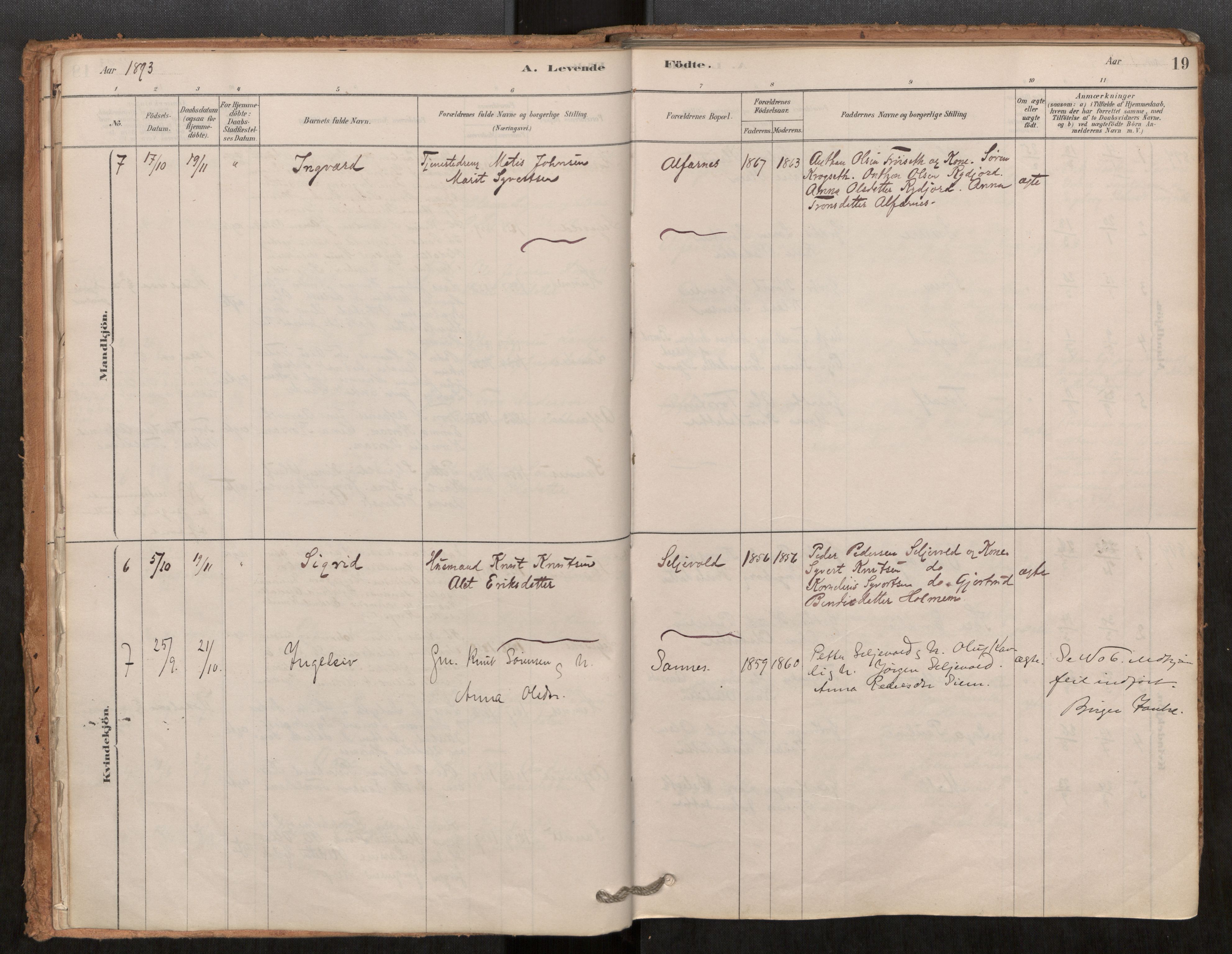 Ministerialprotokoller, klokkerbøker og fødselsregistre - Møre og Romsdal, AV/SAT-A-1454/548/L0615: Parish register (official) no. 548A02, 1878-1906, p. 19