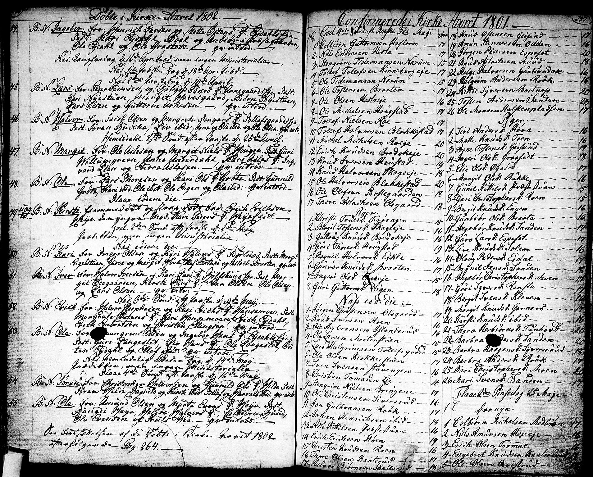 Nes kirkebøker, AV/SAKO-A-236/F/Fa/L0005: Parish register (official) no. 5, 1787-1807, p. 256-257