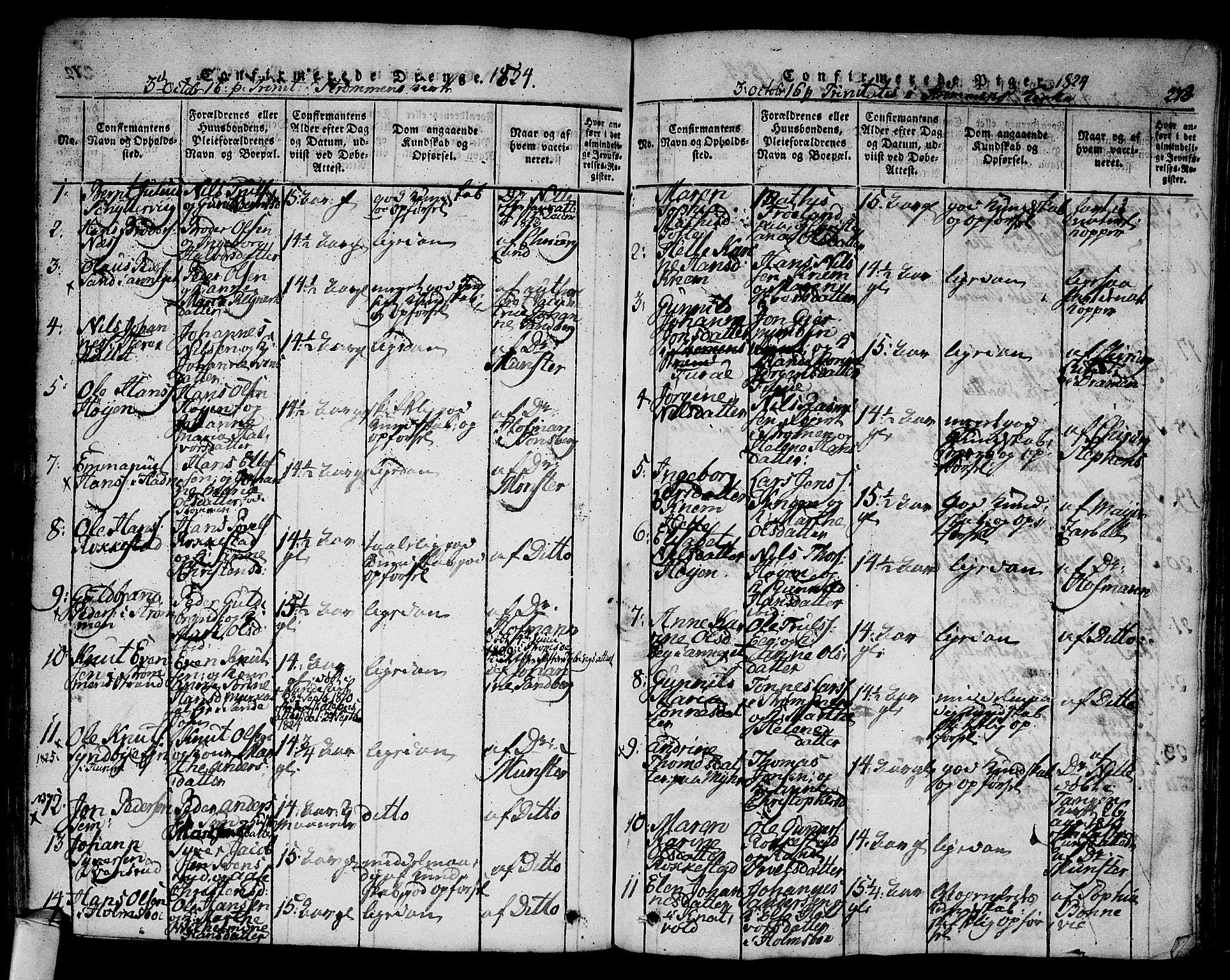 Hurum kirkebøker, SAKO/A-229/F/Fa/L0009: Parish register (official) no. 9, 1816-1826, p. 273