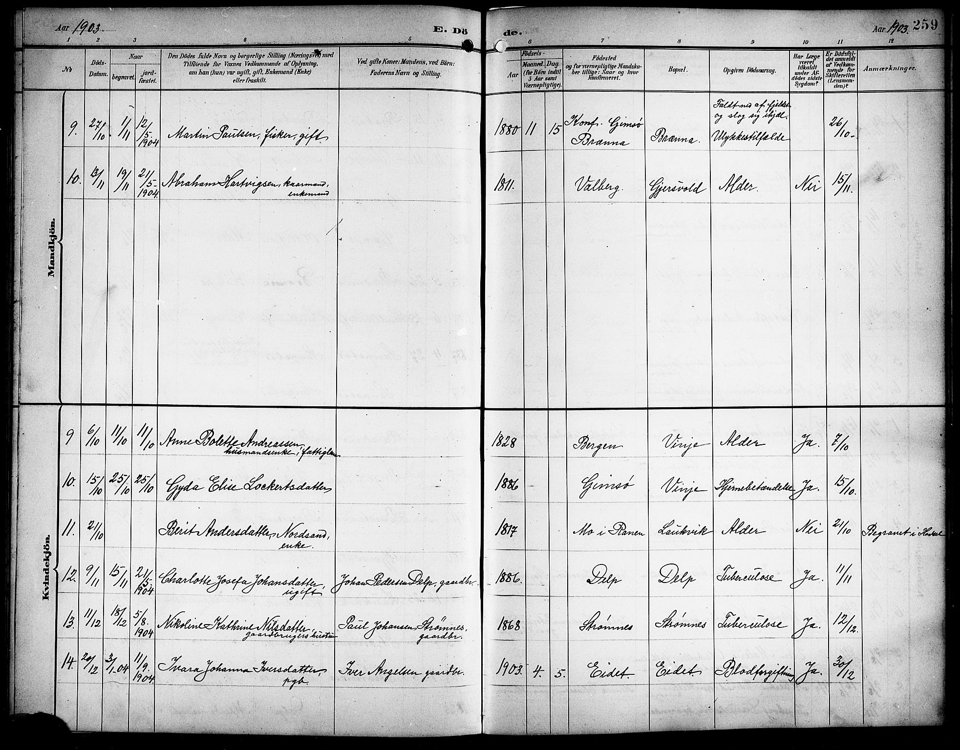 Ministerialprotokoller, klokkerbøker og fødselsregistre - Nordland, AV/SAT-A-1459/876/L1105: Parish register (copy) no. 876C04, 1896-1914, p. 259