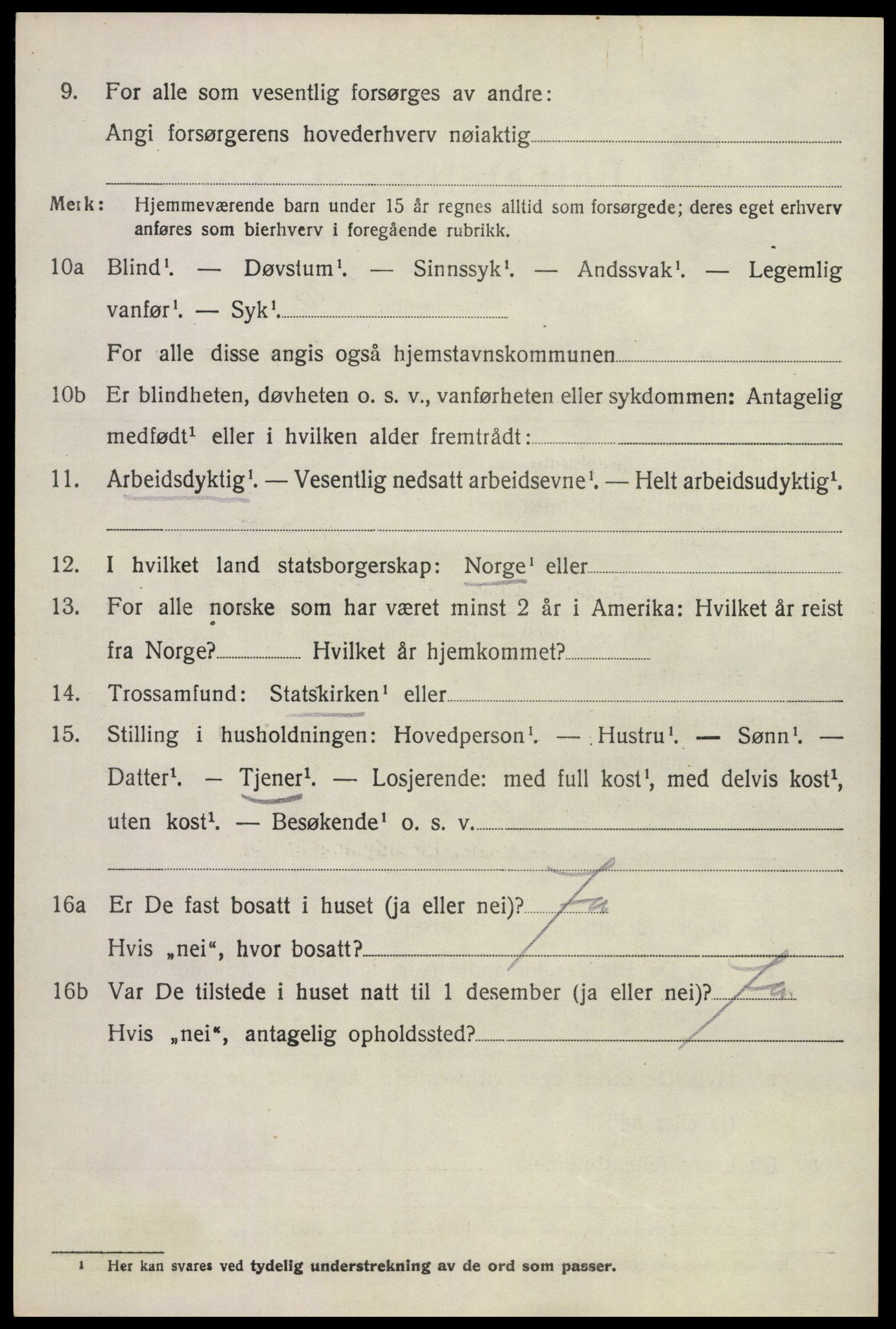 SAKO, 1920 census for Borre, 1920, p. 6229