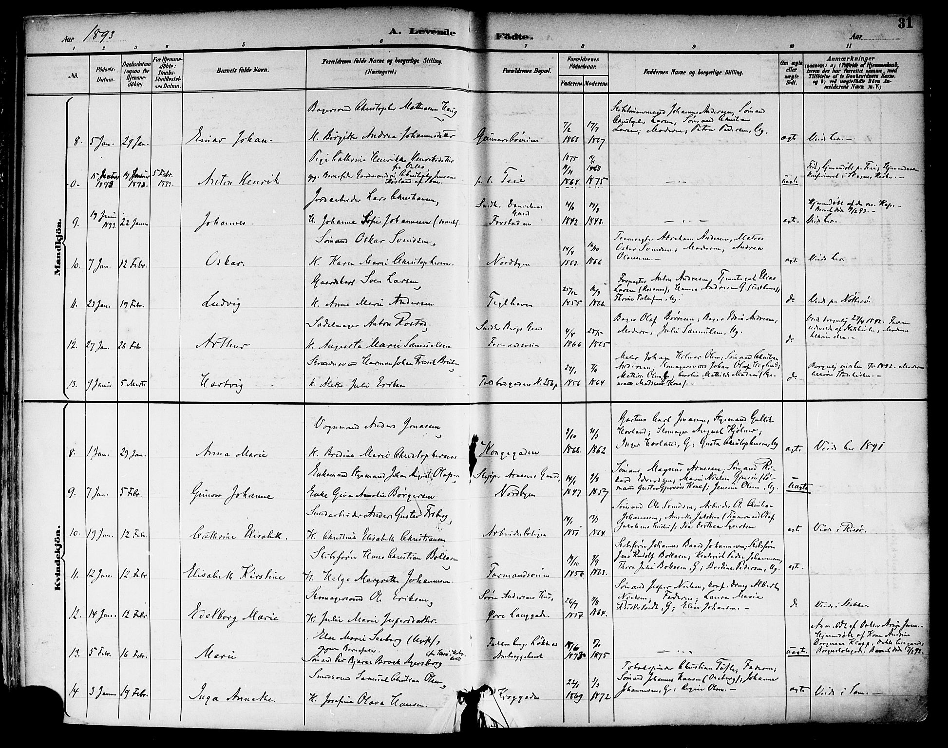 Tønsberg kirkebøker, SAKO/A-330/F/Fa/L0012: Parish register (official) no. I 12, 1891-1899, p. 31