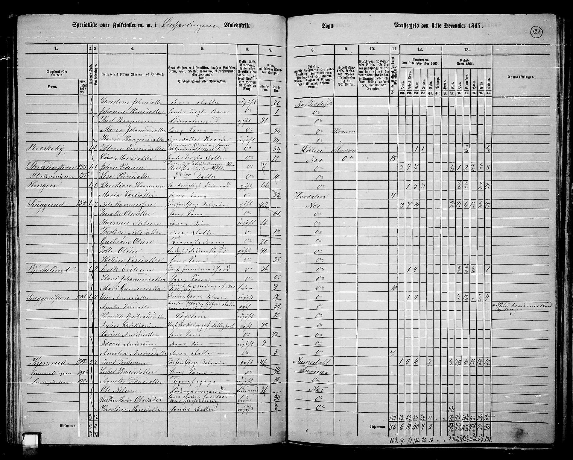 RA, 1865 census for Nes, 1865, p. 107