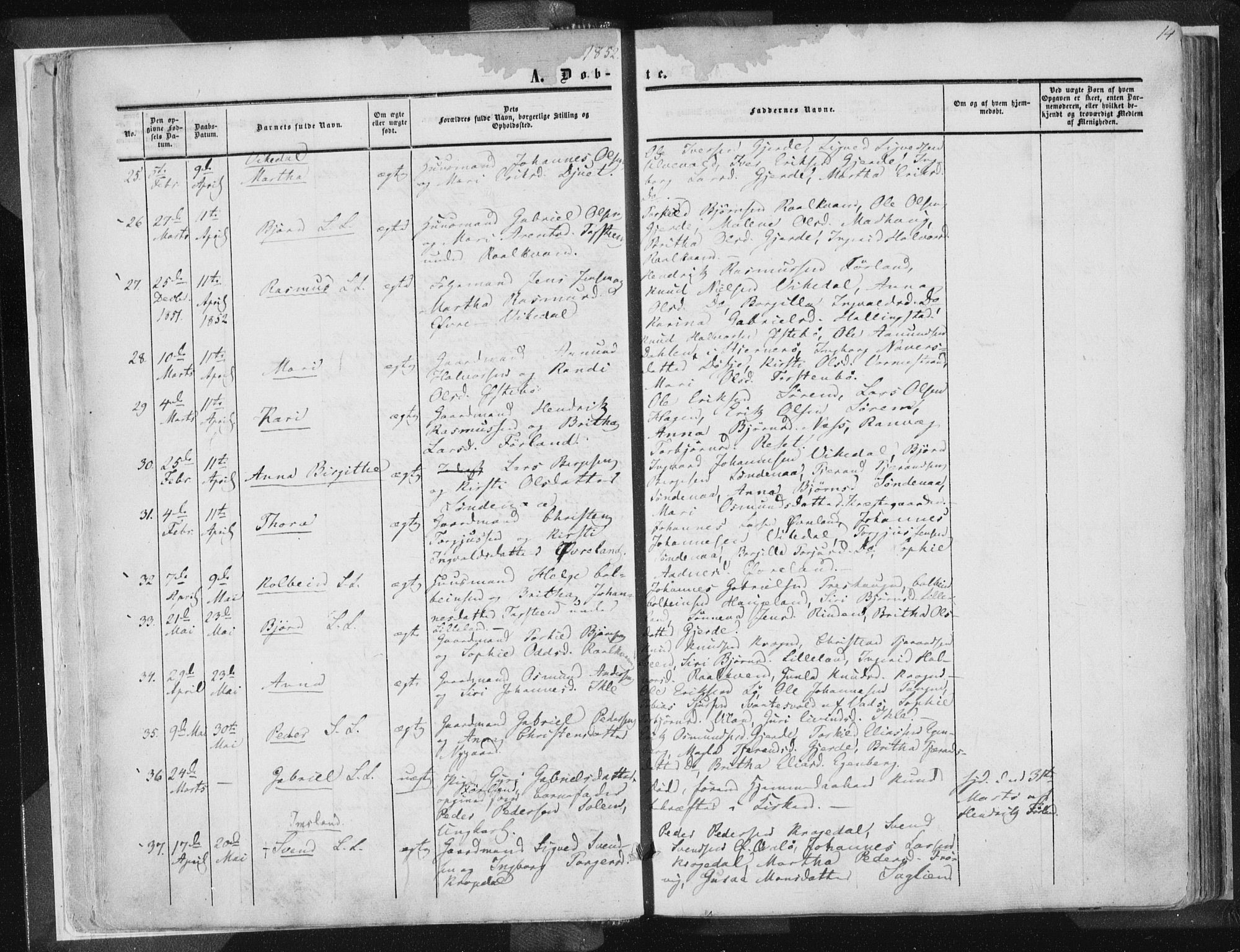 Vikedal sokneprestkontor, AV/SAST-A-101840/01/IV: Parish register (official) no. A 6.1, 1851-1867, p. 14