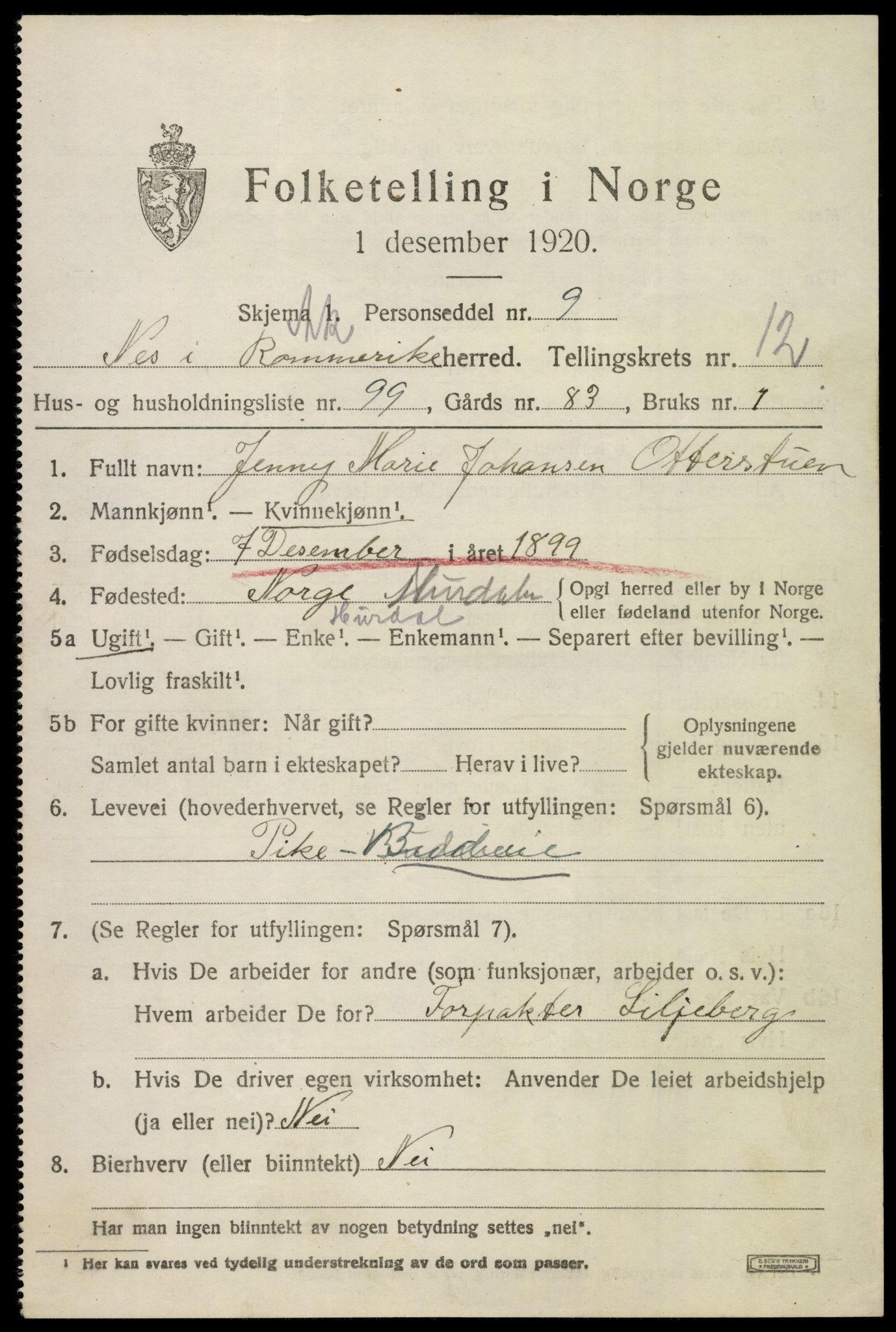 SAO, 1920 census for Nes, 1920, p. 13422