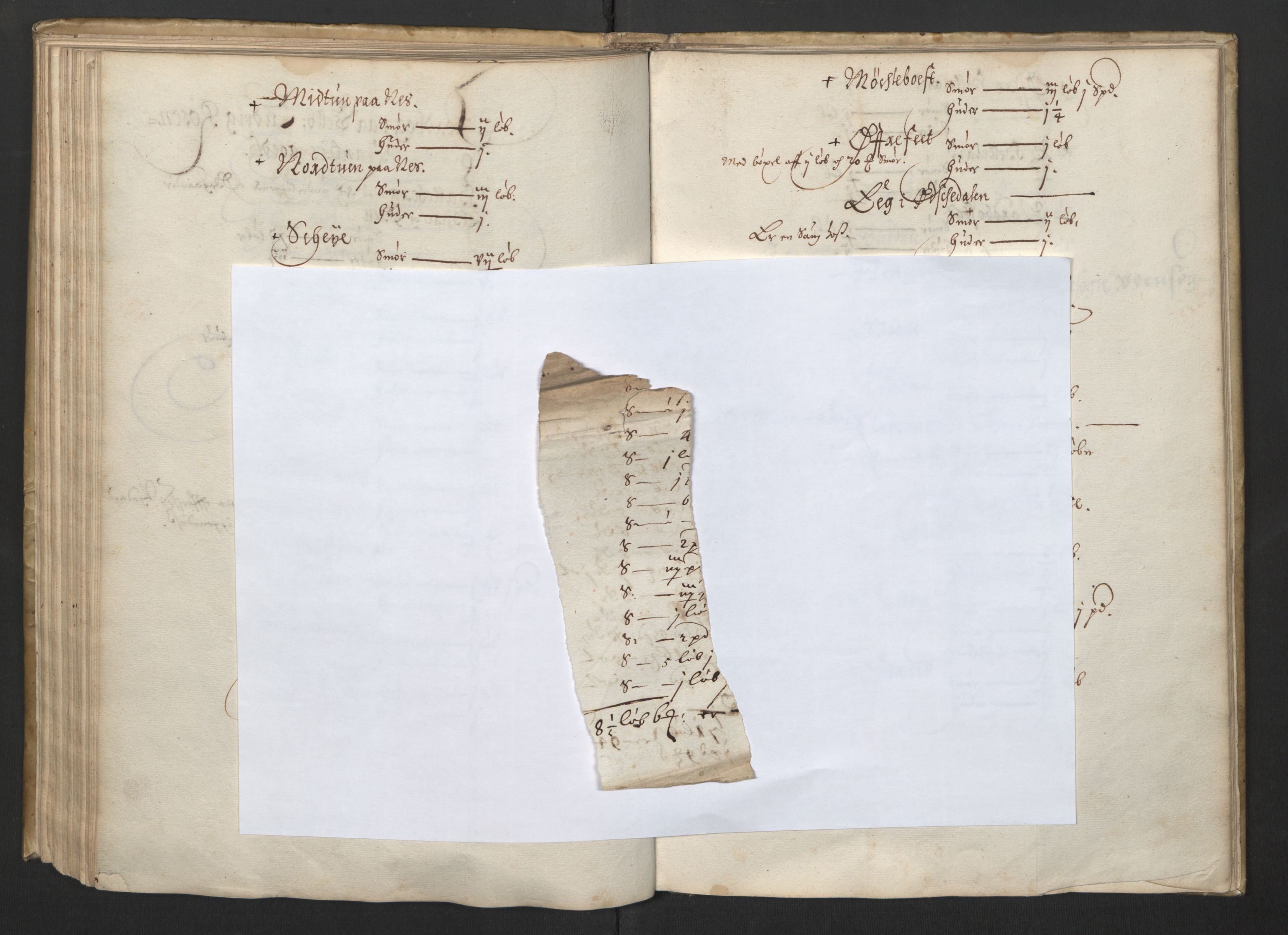 Rentekammeret inntil 1814, Realistisk ordnet avdeling, AV/RA-EA-4070/L/L0026/0004: Bergen lagdømme: / Jordebok over adelens odels- og pantegods, 1661