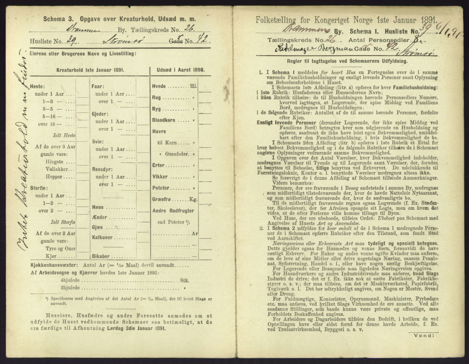 RA, 1891 census for 0602 Drammen, 1891, p. 2243