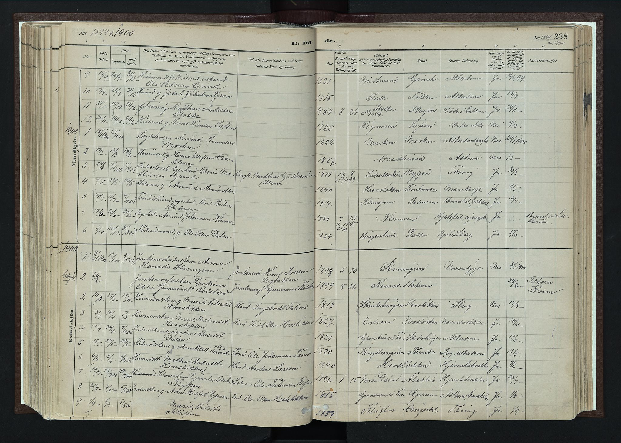 Nord-Fron prestekontor, SAH/PREST-080/H/Ha/Haa/L0004: Parish register (official) no. 4, 1884-1914, p. 228