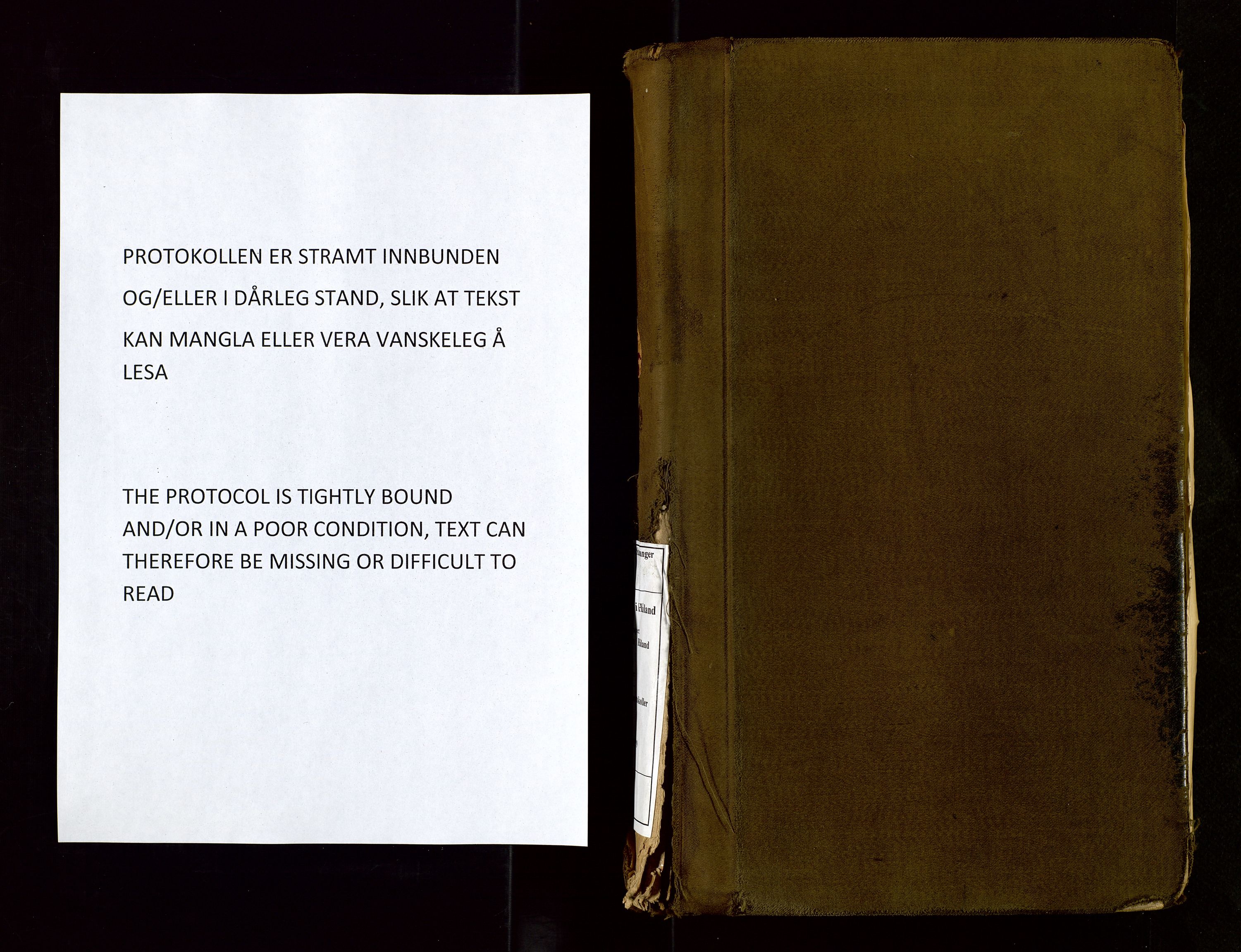 Håland lensmannskontor, SAST/A-100100/Go/L0004: Branntakstprotokoll for lensmannen i Håland. Register i boken., 1919-1929