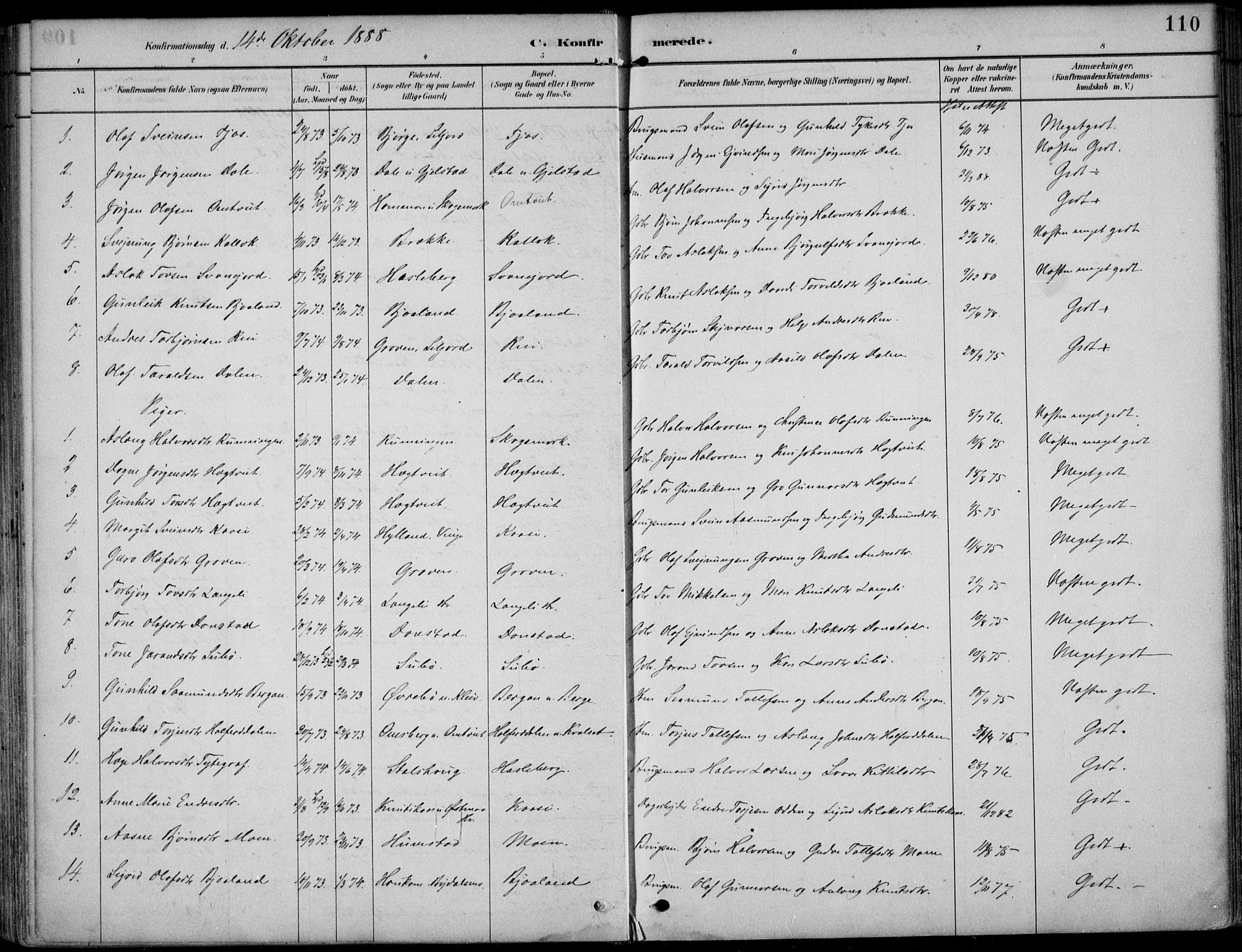 Kviteseid kirkebøker, SAKO/A-276/F/Fb/L0002: Parish register (official) no. II 2, 1882-1916, p. 110