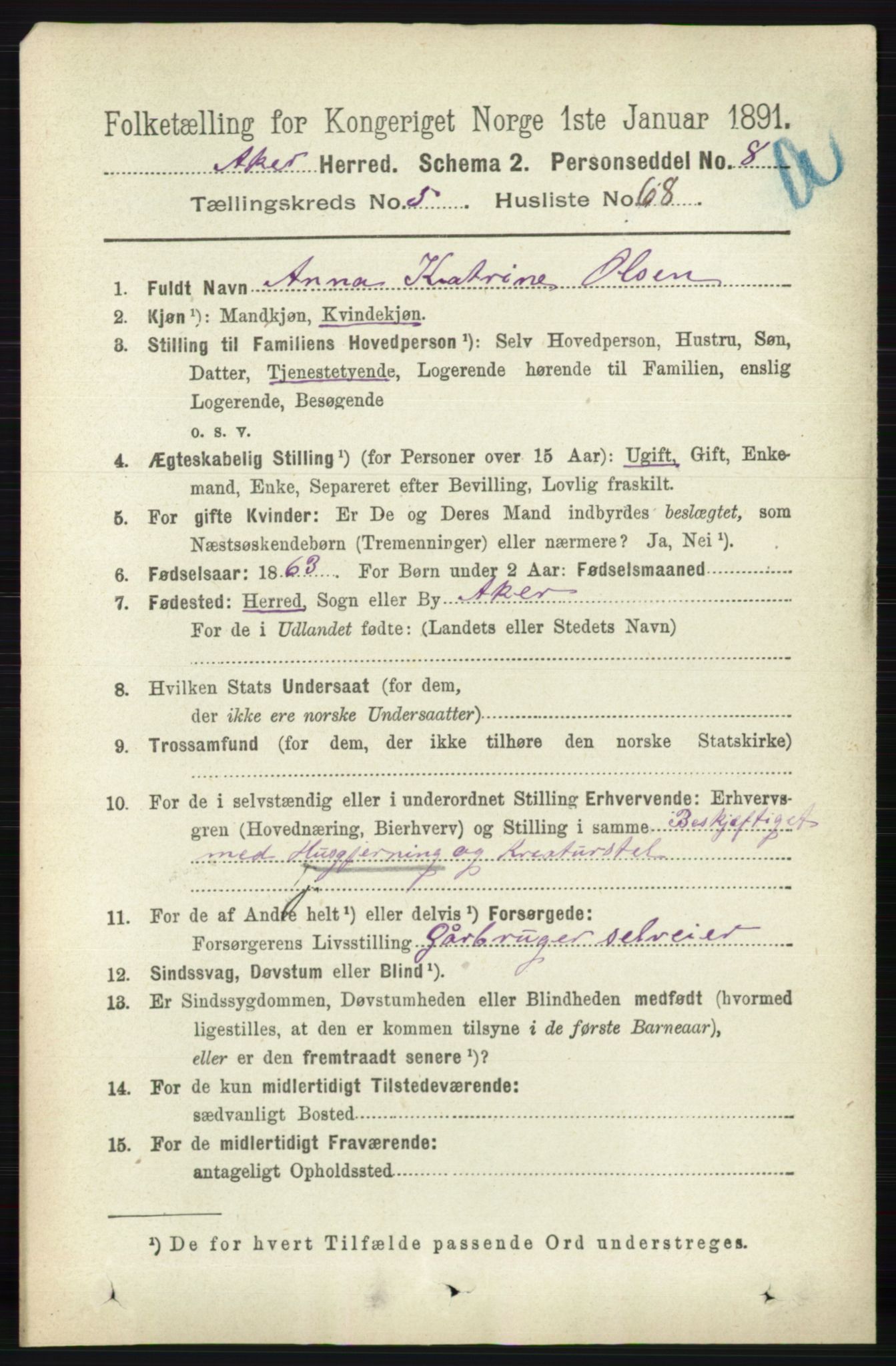 RA, 1891 census for 0218 Aker, 1891, p. 5398