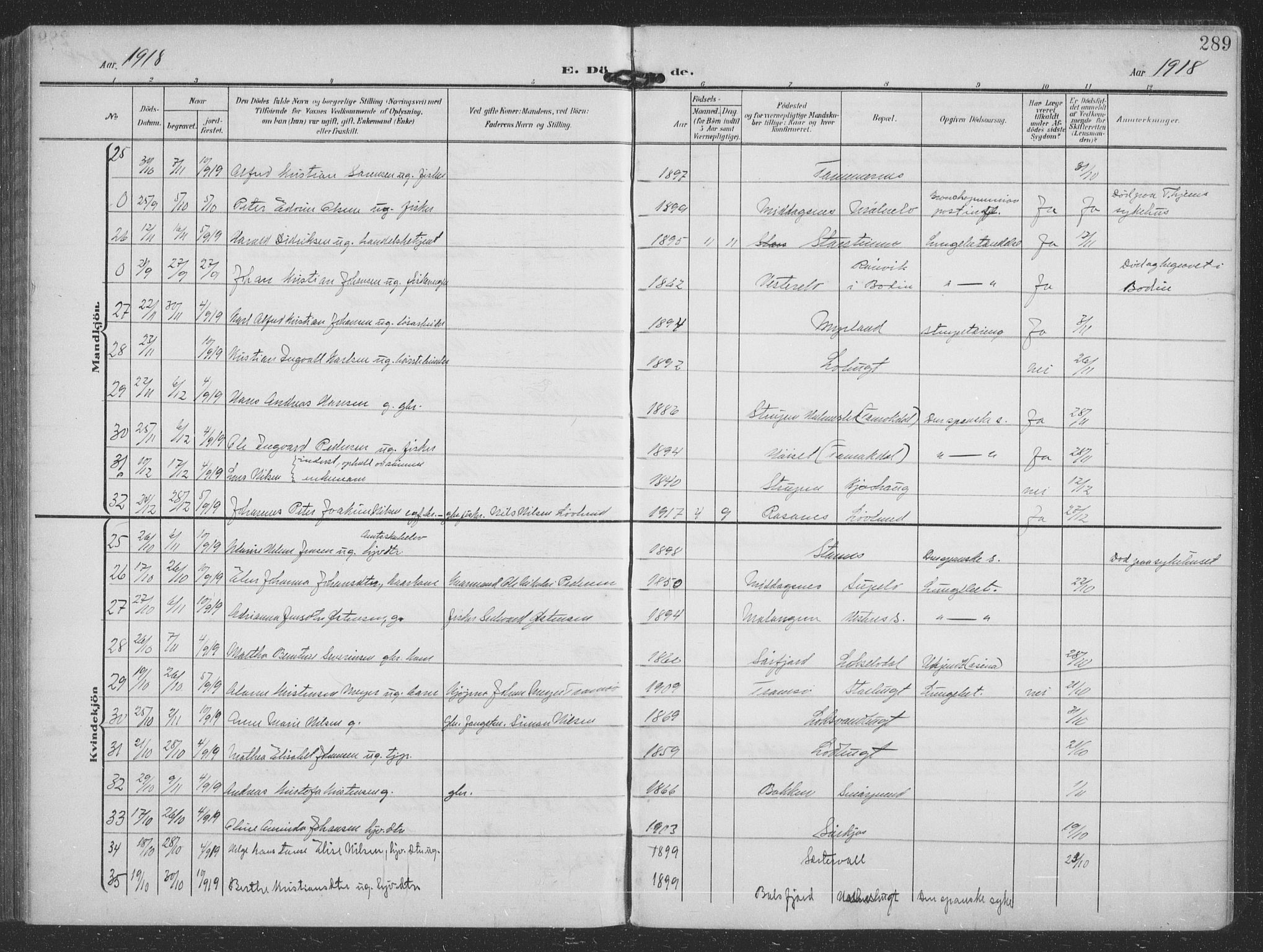 Balsfjord sokneprestembete, SATØ/S-1303/G/Ga/L0009klokker: Parish register (copy) no. 9, 1906-1920, p. 289