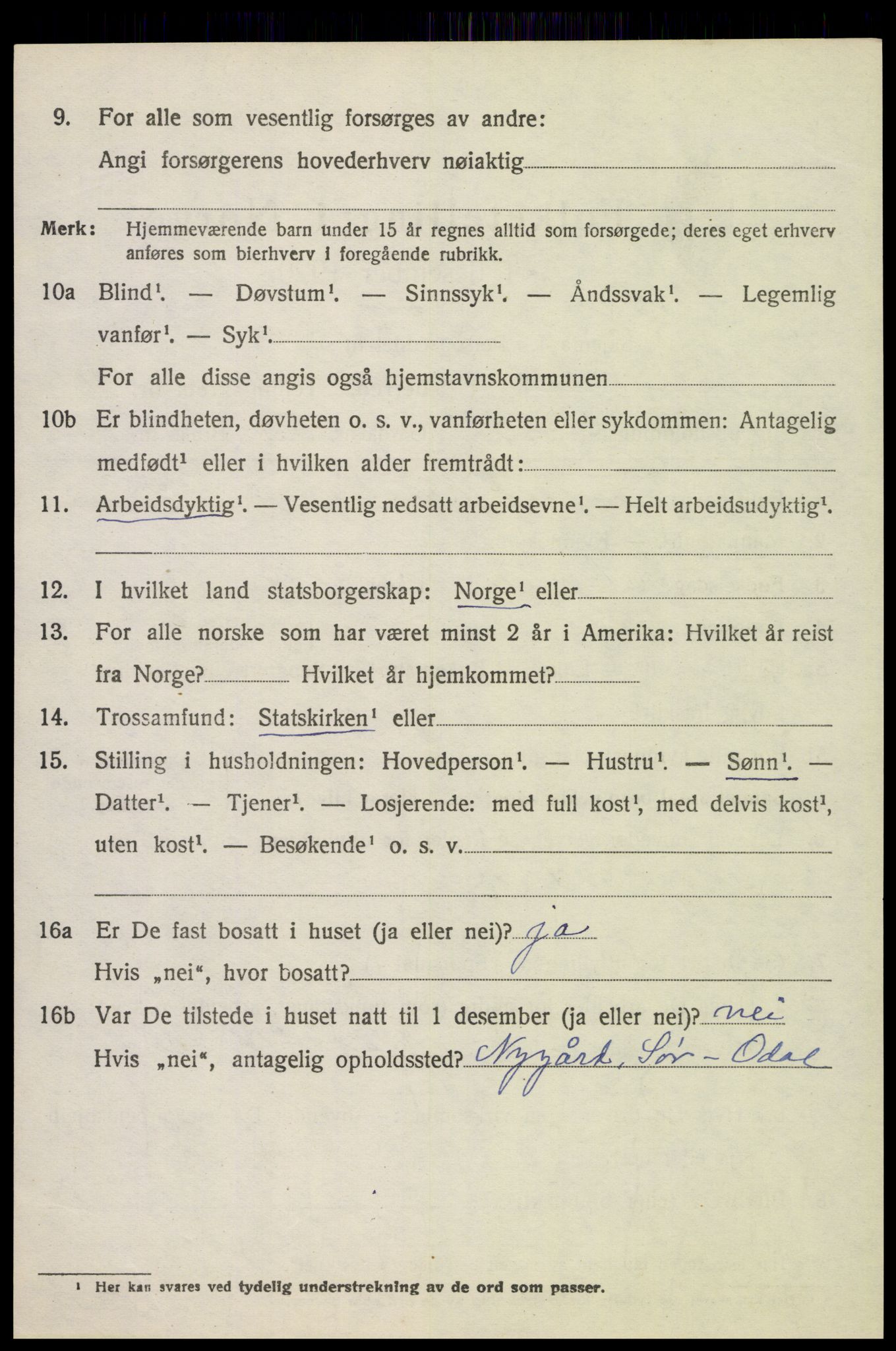 SAH, 1920 census for Sør-Odal, 1920, p. 12184