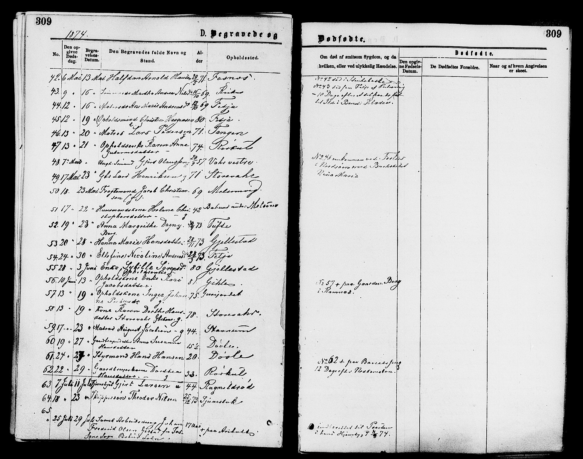 Stokke kirkebøker, AV/SAKO-A-320/F/Fa/L0009: Parish register (official) no. I 9, 1872-1883, p. 309