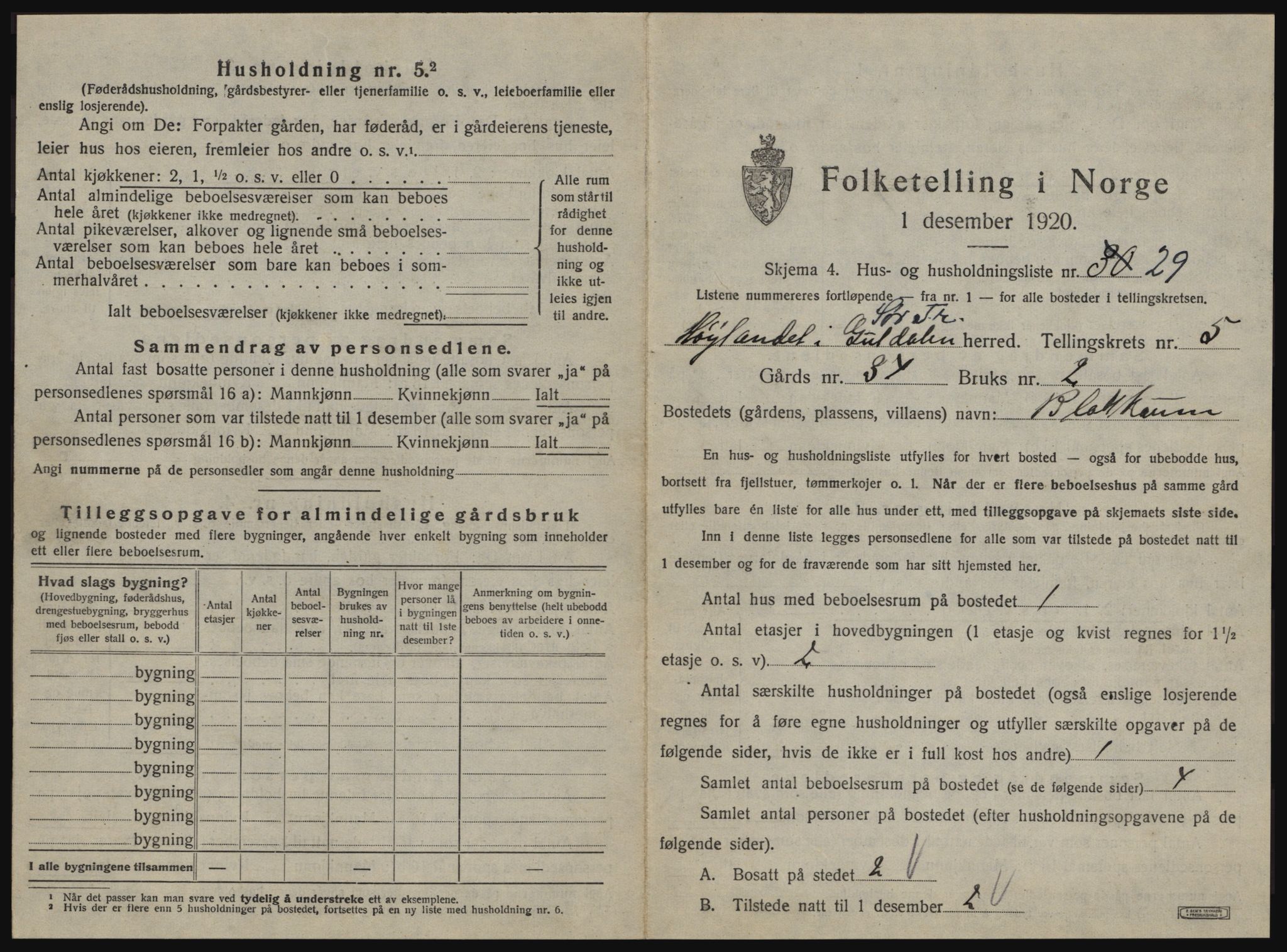 SAT, 1920 census for Hølonda, 1920, p. 397