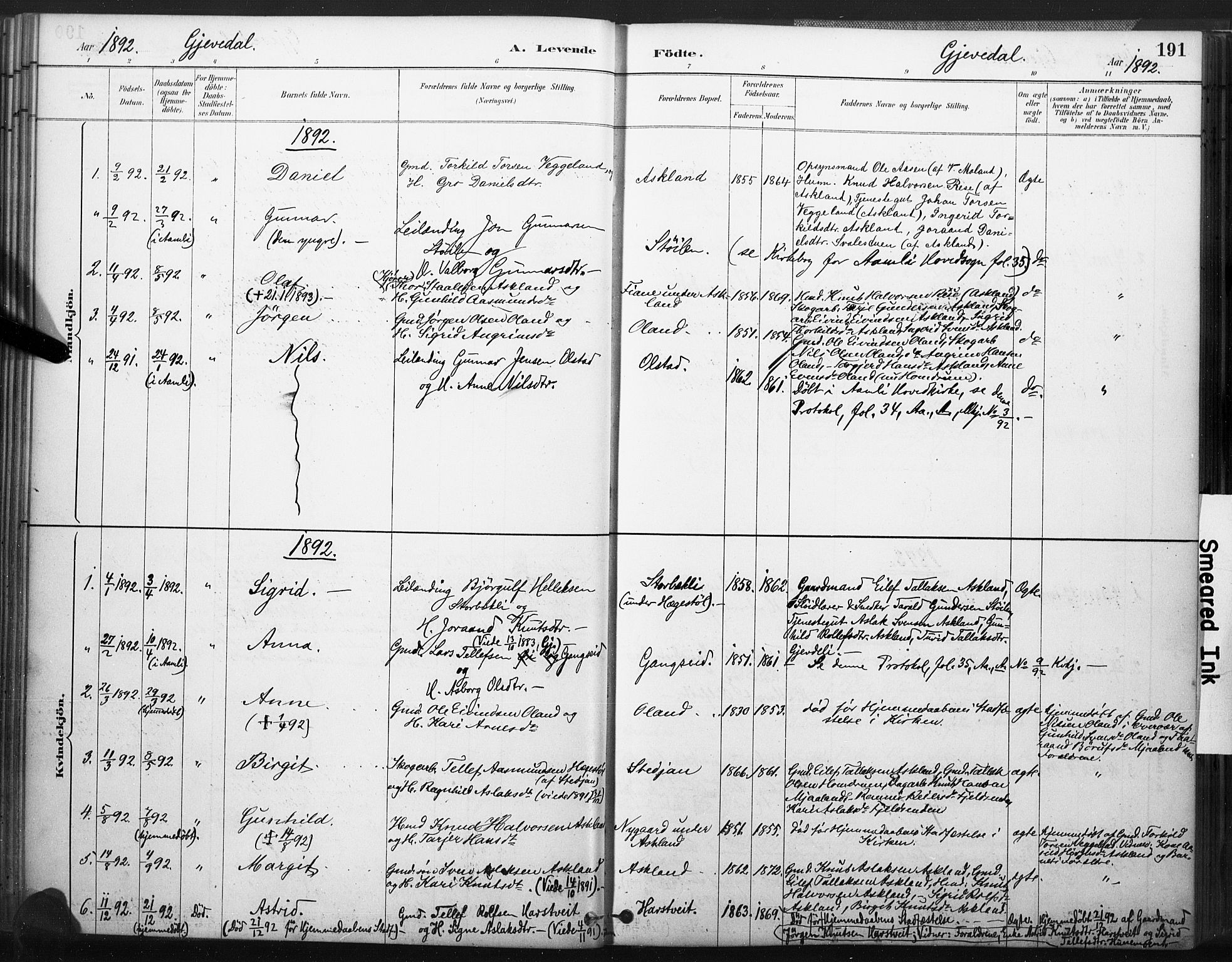 Åmli sokneprestkontor, AV/SAK-1111-0050/F/Fa/Fac/L0010: Parish register (official) no. A 10 /2, 1885-1899, p. 191