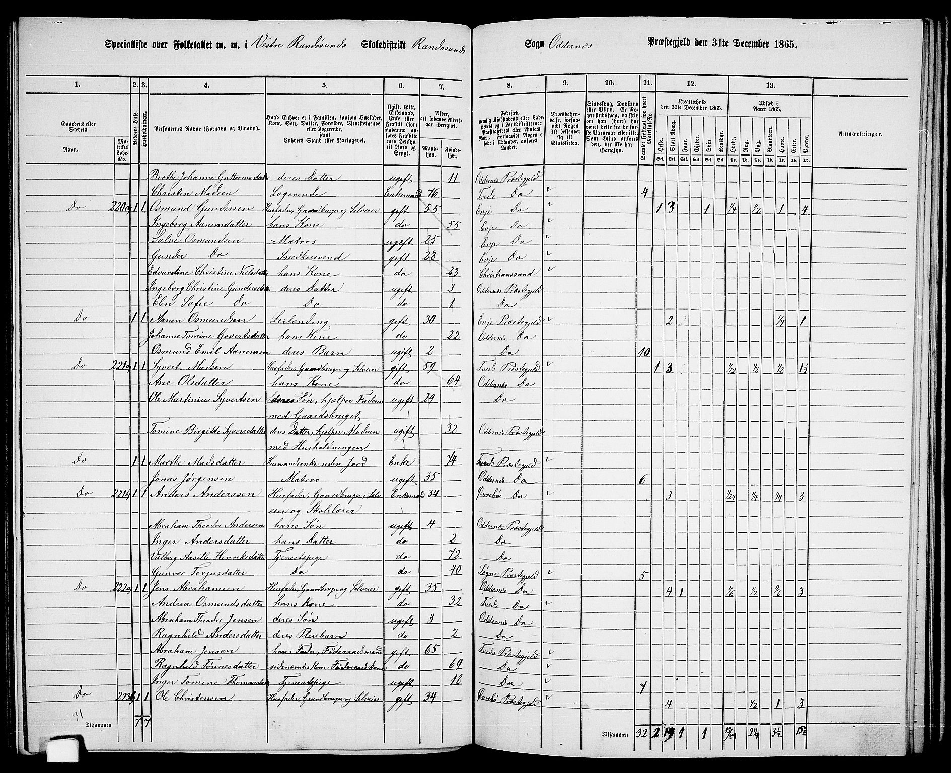 RA, 1865 census for Oddernes, 1865, p. 118