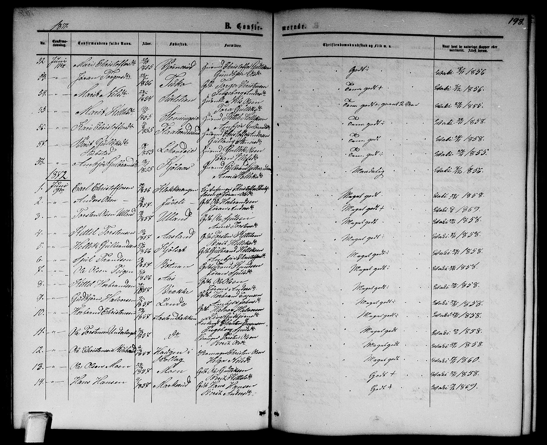 Flesberg kirkebøker, SAKO/A-18/G/Ga/L0003: Parish register (copy) no. I 3, 1861-1889, p. 198