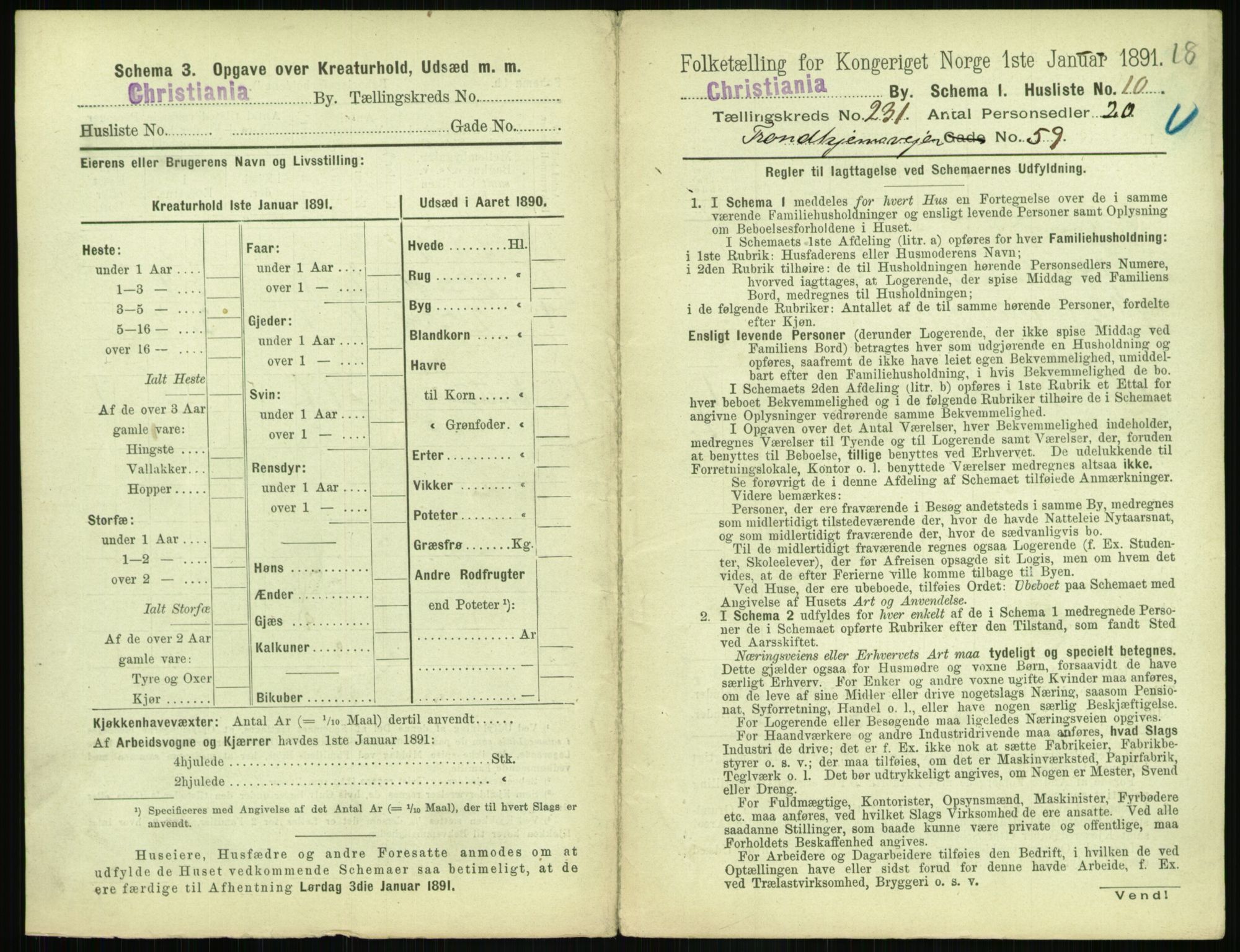 RA, 1891 census for 0301 Kristiania, 1891, p. 142500