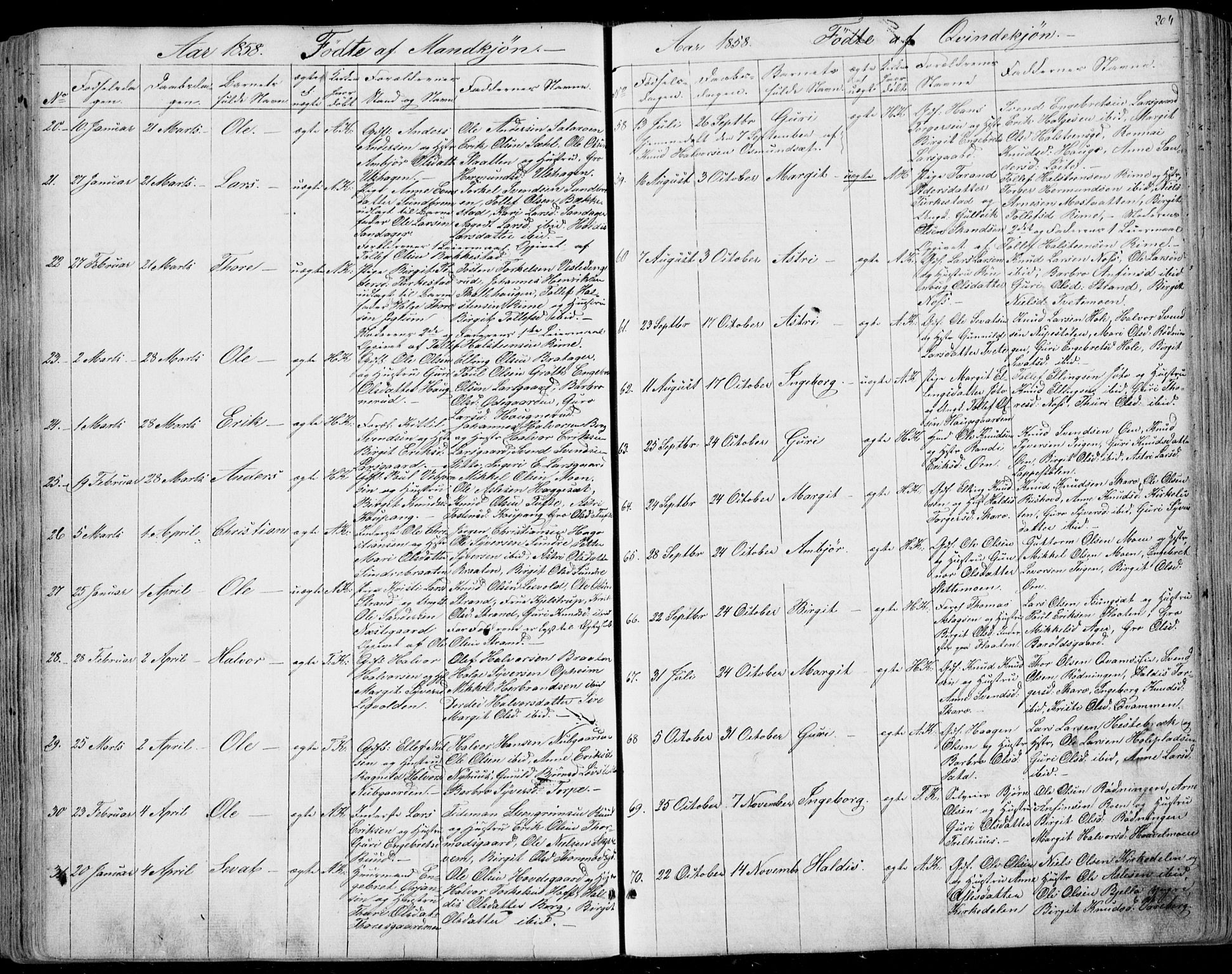 Ål kirkebøker, SAKO/A-249/F/Fa/L0006: Parish register (official) no. I 6, 1849-1864, p. 204