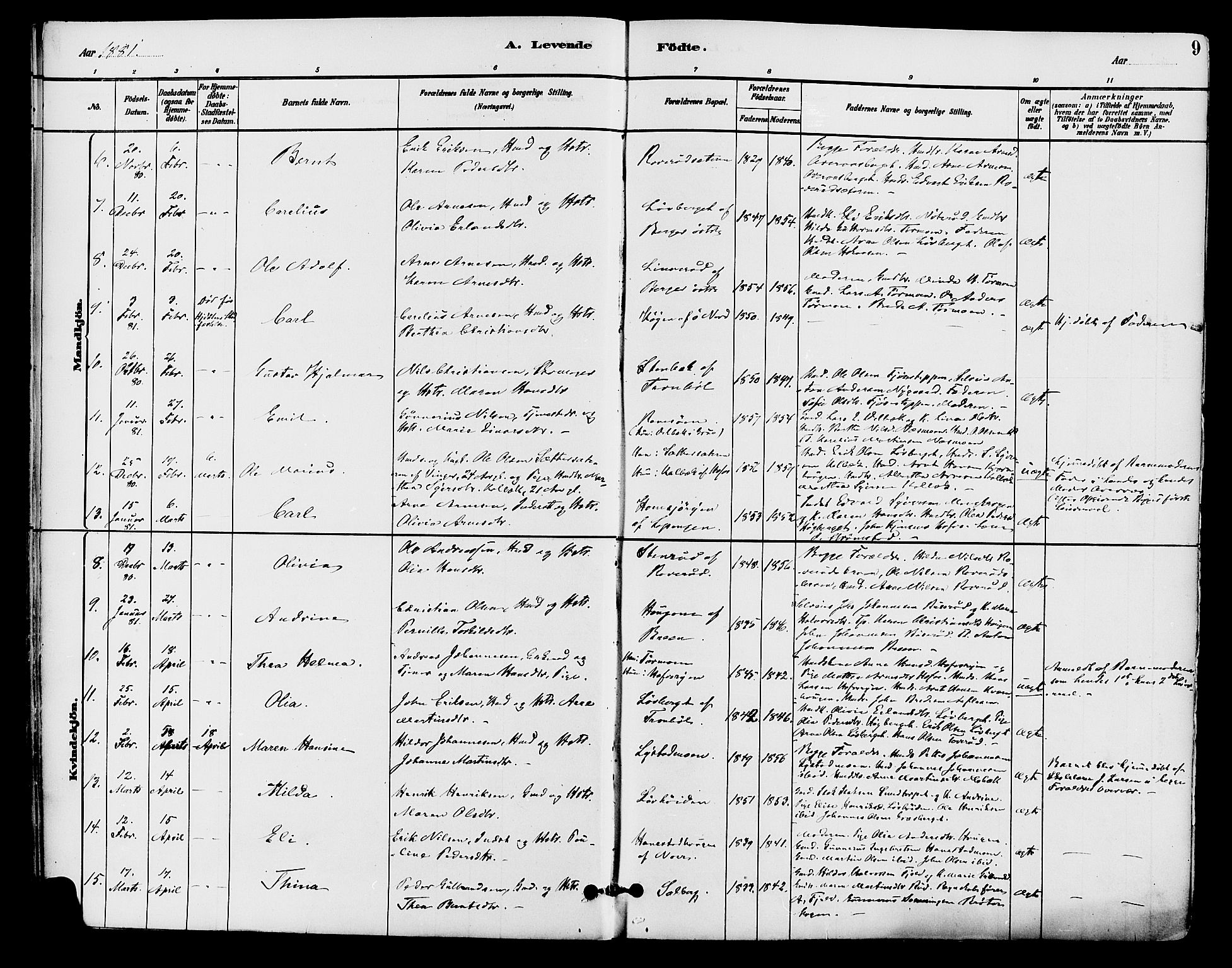 Brandval prestekontor, AV/SAH-PREST-034/H/Ha/Haa/L0002: Parish register (official) no. 2, 1880-1894, p. 9