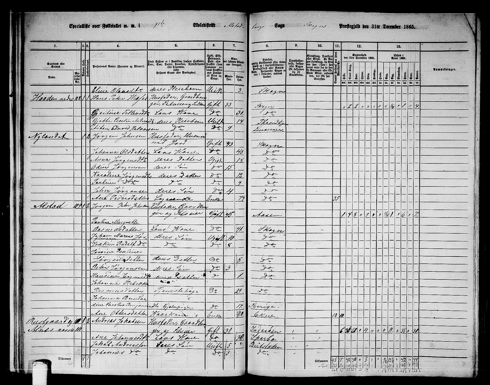 RA, 1865 census for Skogn, 1865, p. 25