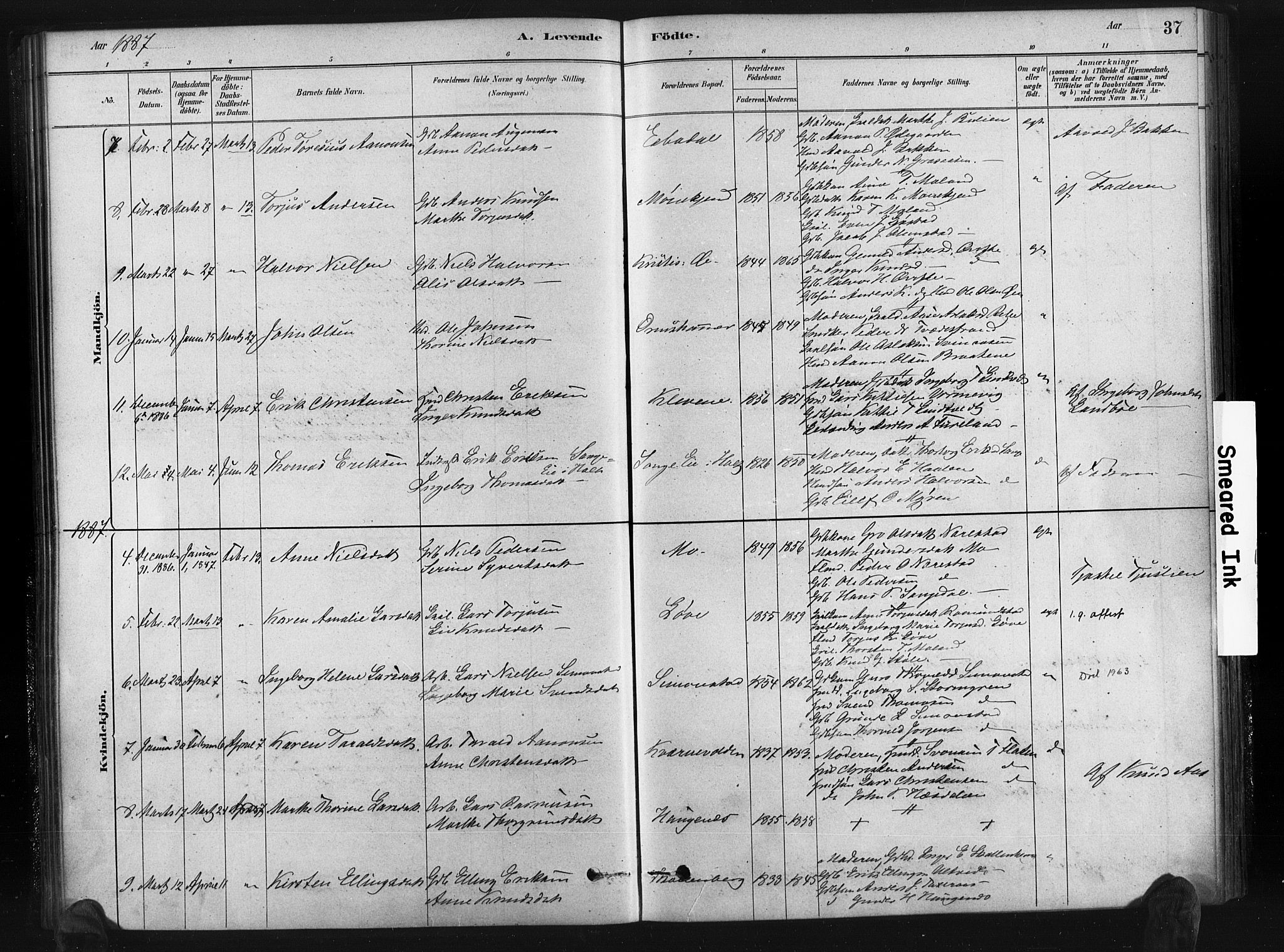 Gjerstad sokneprestkontor, AV/SAK-1111-0014/F/Fa/Fab/L0004: Parish register (official) no. A 4, 1879-1890, p. 37