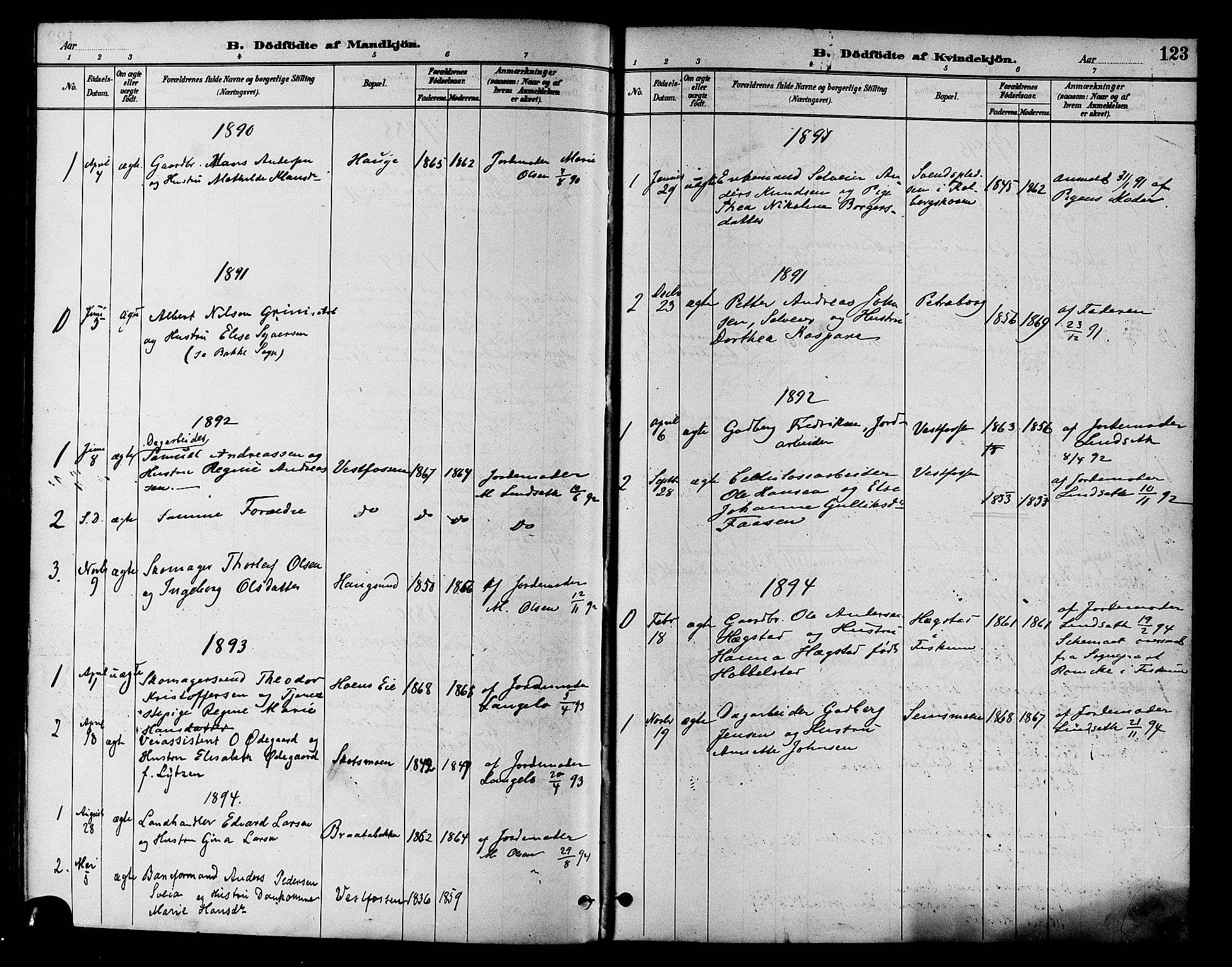 Eiker kirkebøker, SAKO/A-4/F/Fb/L0002: Parish register (official) no. II 2, 1889-1896, p. 123