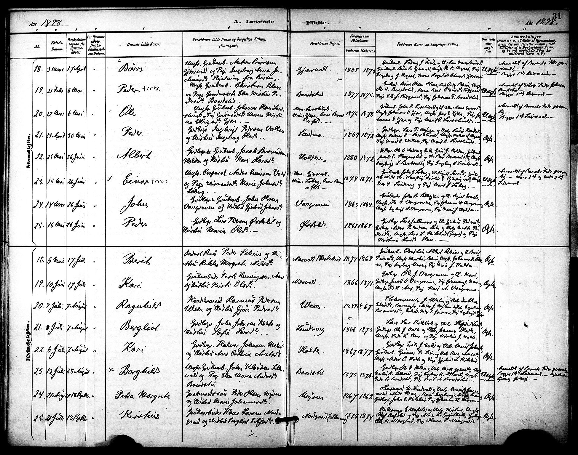 Ministerialprotokoller, klokkerbøker og fødselsregistre - Sør-Trøndelag, AV/SAT-A-1456/686/L0984: Parish register (official) no. 686A02, 1891-1906, p. 31