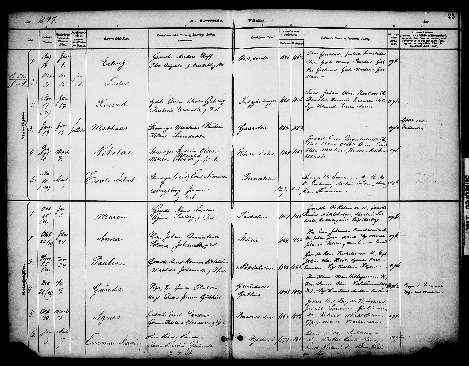 Stange prestekontor, SAH/PREST-002/K/L0020: Parish register (official) no. 20, 1894-1905, p. 25