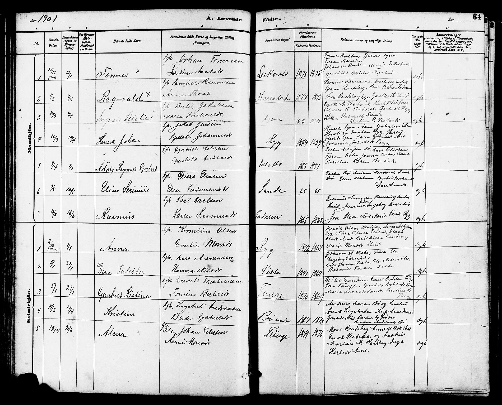 Hetland sokneprestkontor, SAST/A-101826/30/30BB/L0006: Parish register (copy) no. B 6, 1878-1921, p. 64