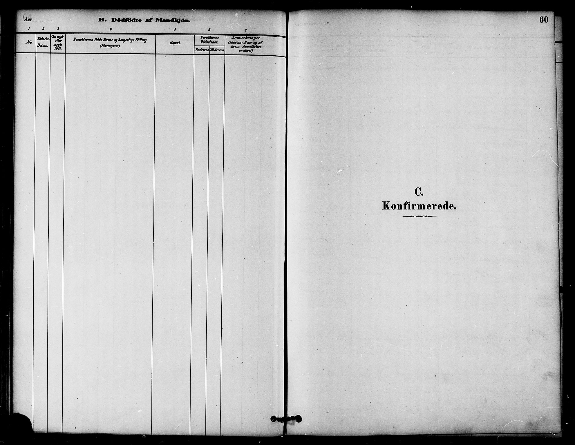 Ministerialprotokoller, klokkerbøker og fødselsregistre - Nord-Trøndelag, SAT/A-1458/764/L0555: Parish register (official) no. 764A10, 1881-1896, p. 60