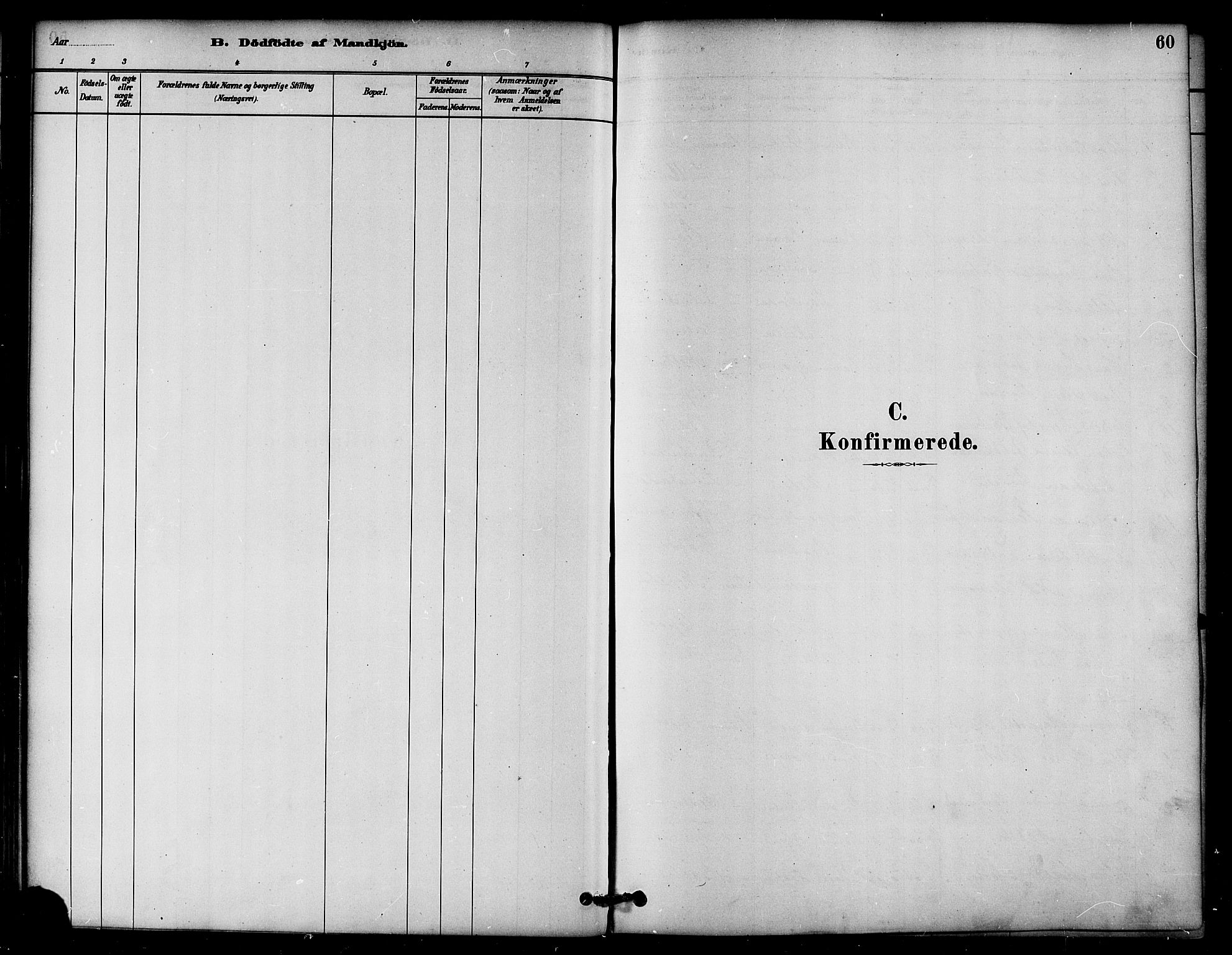 Ministerialprotokoller, klokkerbøker og fødselsregistre - Nord-Trøndelag, AV/SAT-A-1458/764/L0555: Parish register (official) no. 764A10, 1881-1896, p. 60