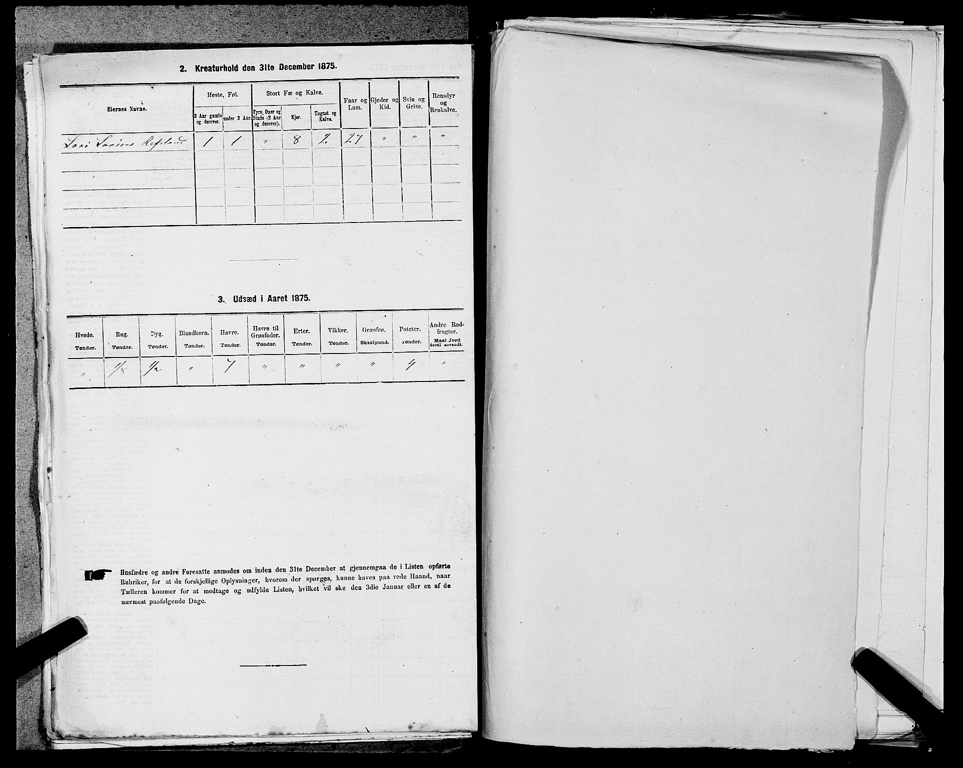 SAST, 1875 census for 1119P Hå, 1875, p. 817