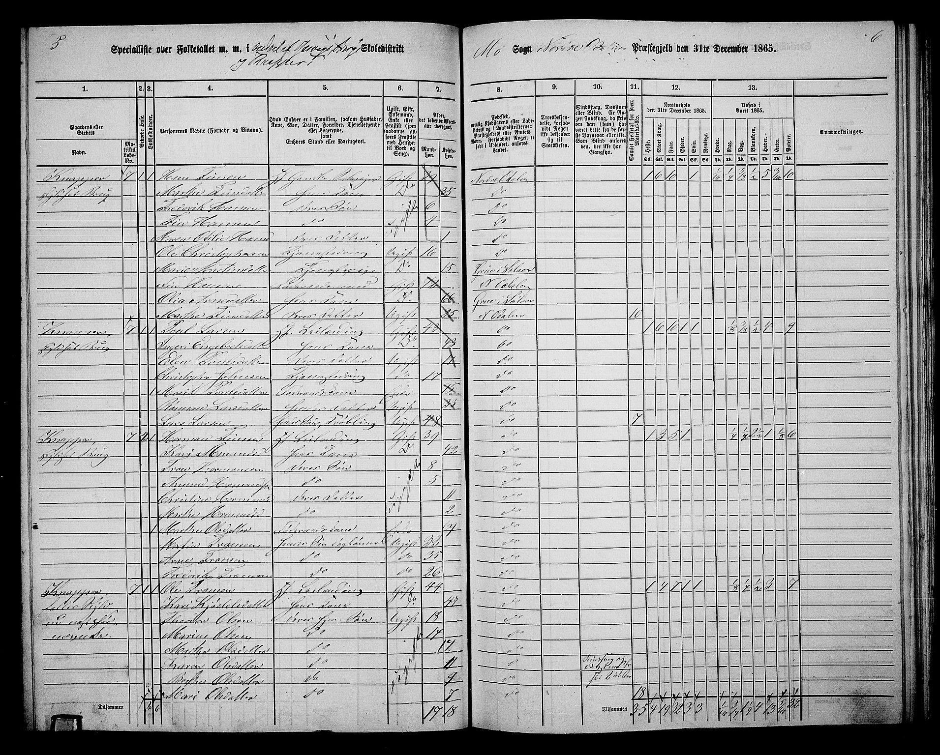 RA, 1865 census for Nord-Odal, 1865, p. 124