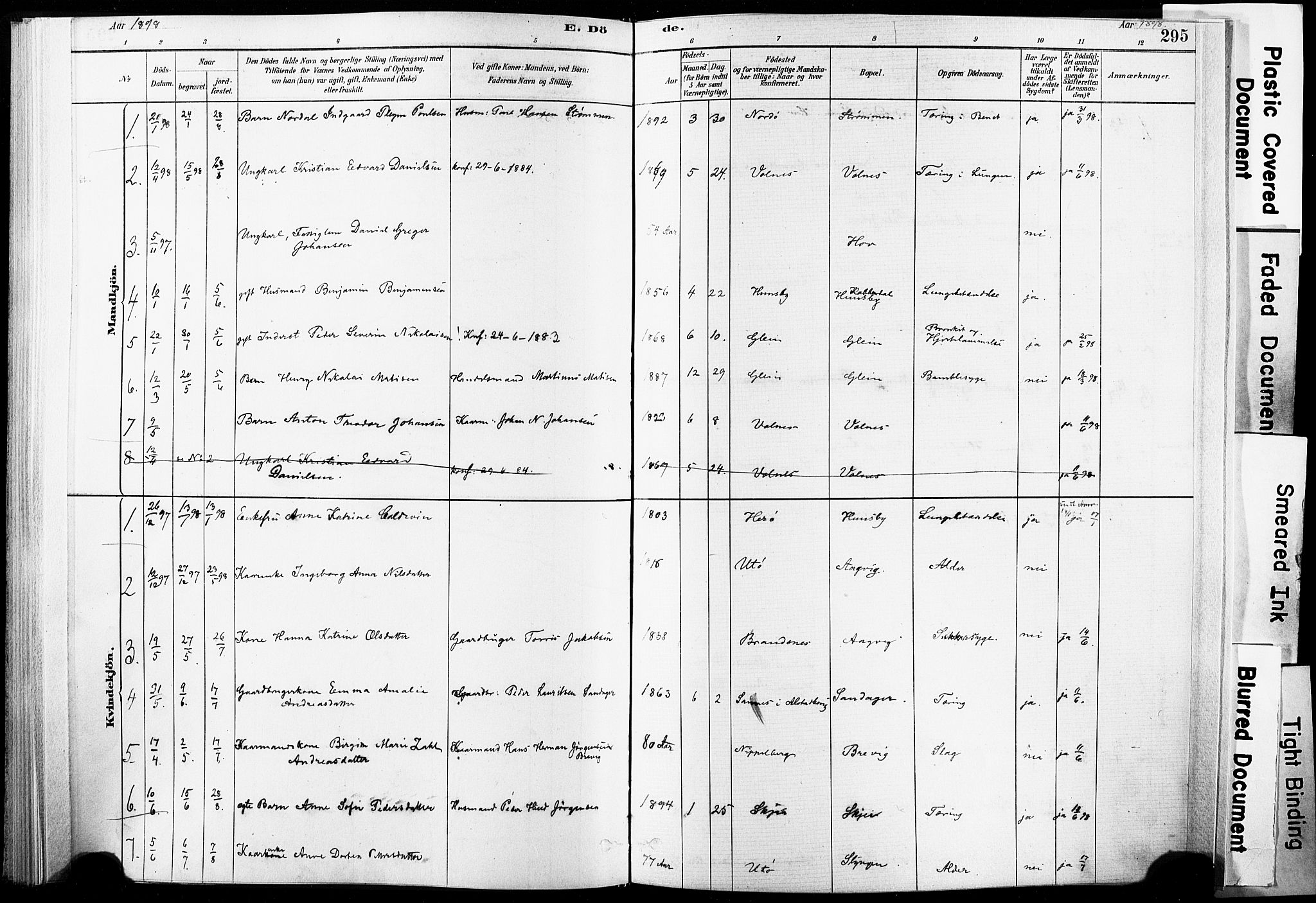 Ministerialprotokoller, klokkerbøker og fødselsregistre - Nordland, AV/SAT-A-1459/835/L0526: Parish register (official) no. 835A03II, 1881-1910, p. 295