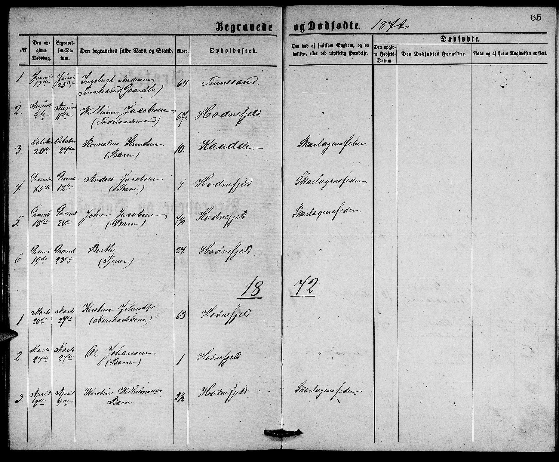Rennesøy sokneprestkontor, SAST/A -101827/H/Ha/Hab/L0004: Parish register (copy) no. B 4, 1870-1889, p. 65