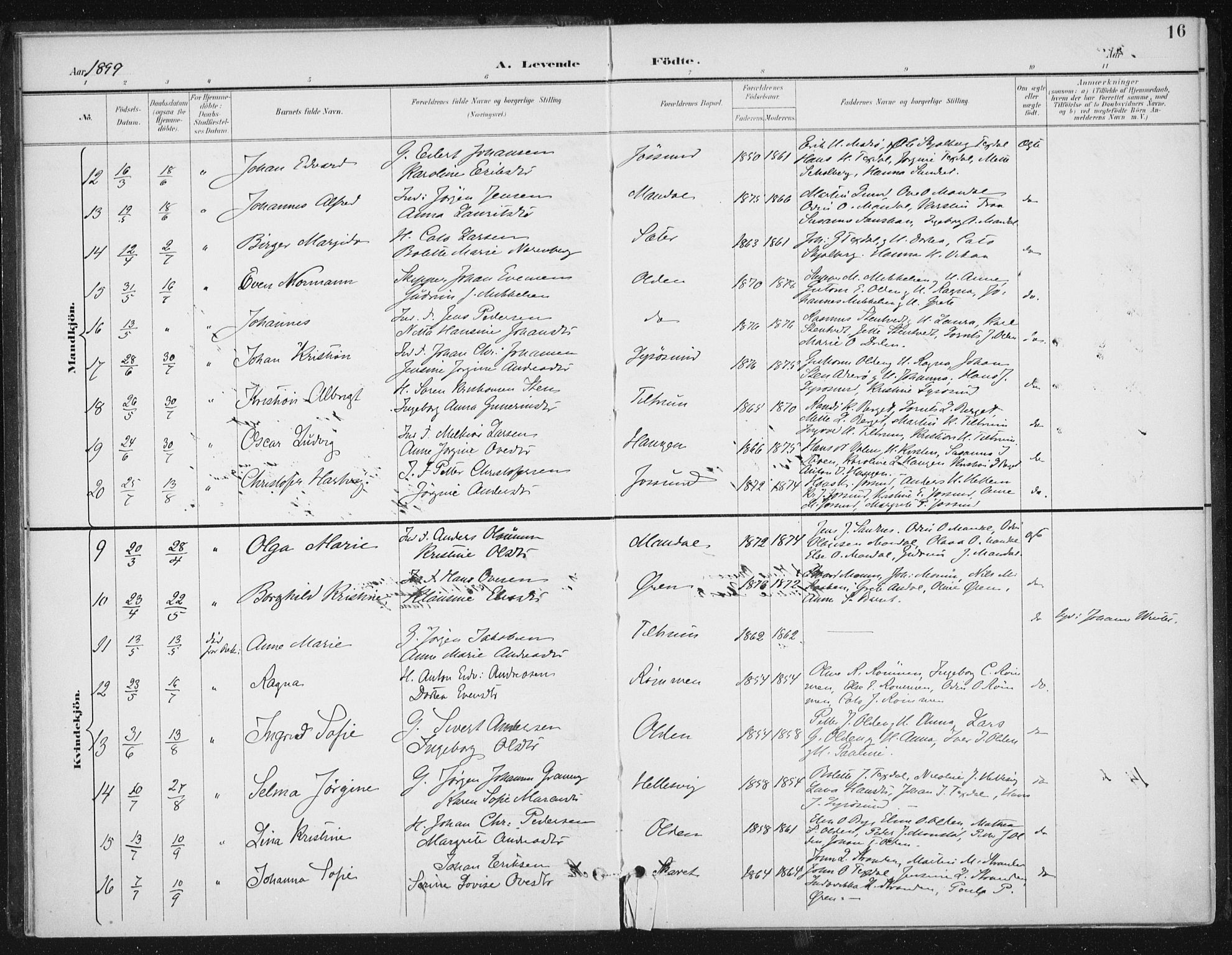 Ministerialprotokoller, klokkerbøker og fødselsregistre - Sør-Trøndelag, SAT/A-1456/654/L0664: Parish register (official) no. 654A02, 1895-1907, p. 16