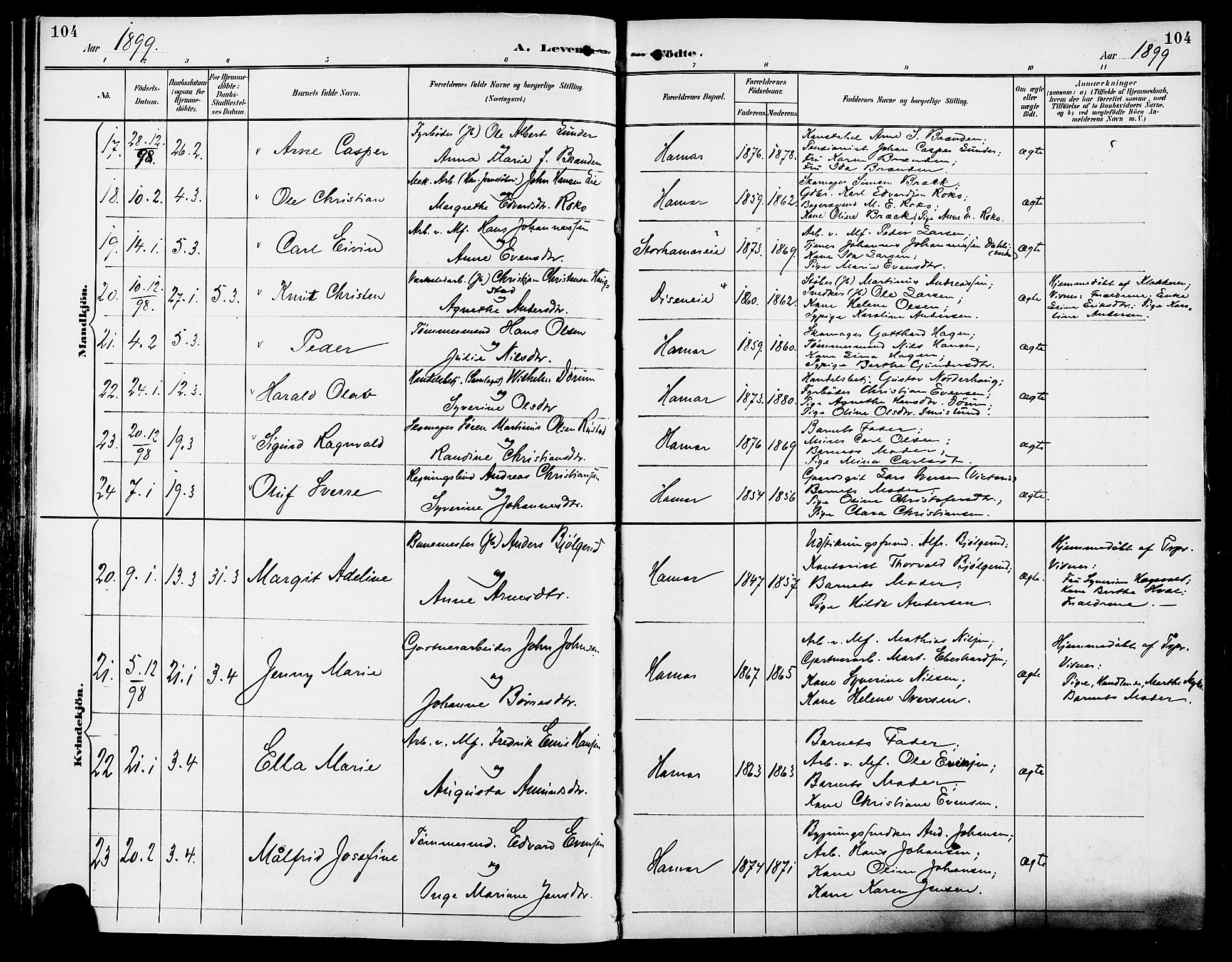 Vang prestekontor, Hedmark, SAH/PREST-008/H/Ha/Haa/L0017: Parish register (official) no. 17, 1890-1899, p. 104