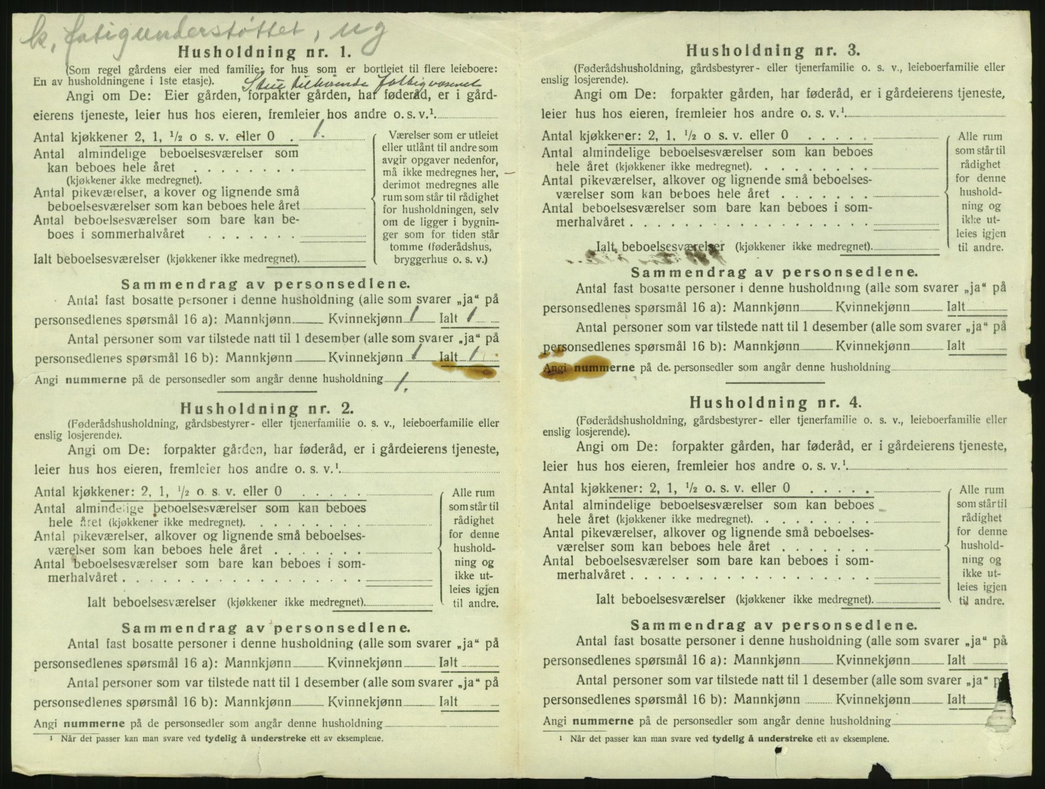 SAH, 1920 census for Nord-Aurdal, 1920, p. 1895