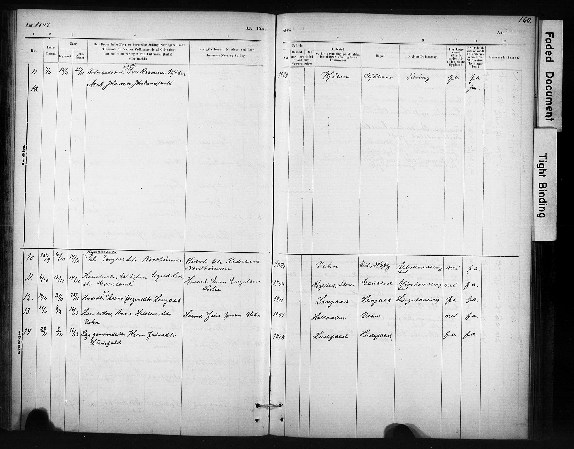Ministerialprotokoller, klokkerbøker og fødselsregistre - Sør-Trøndelag, SAT/A-1456/694/L1127: Parish register (official) no. 694A01, 1887-1905, p. 160