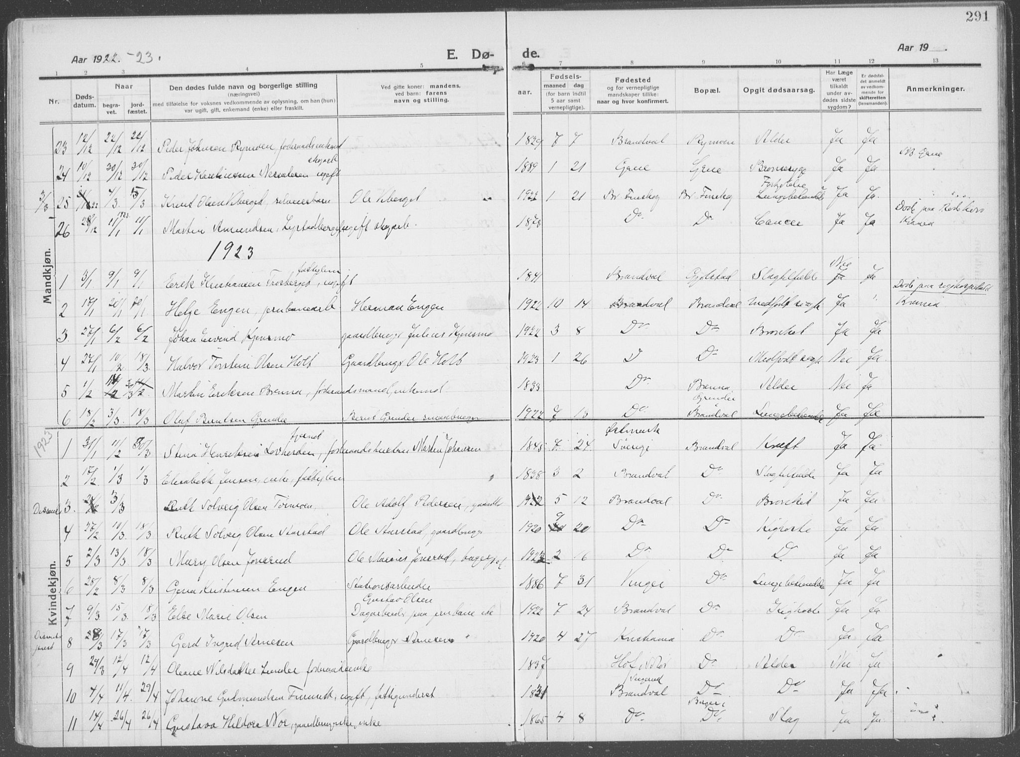 Brandval prestekontor, SAH/PREST-034/H/Ha/Haa/L0004: Parish register (official) no. 4, 1910-1924, p. 291