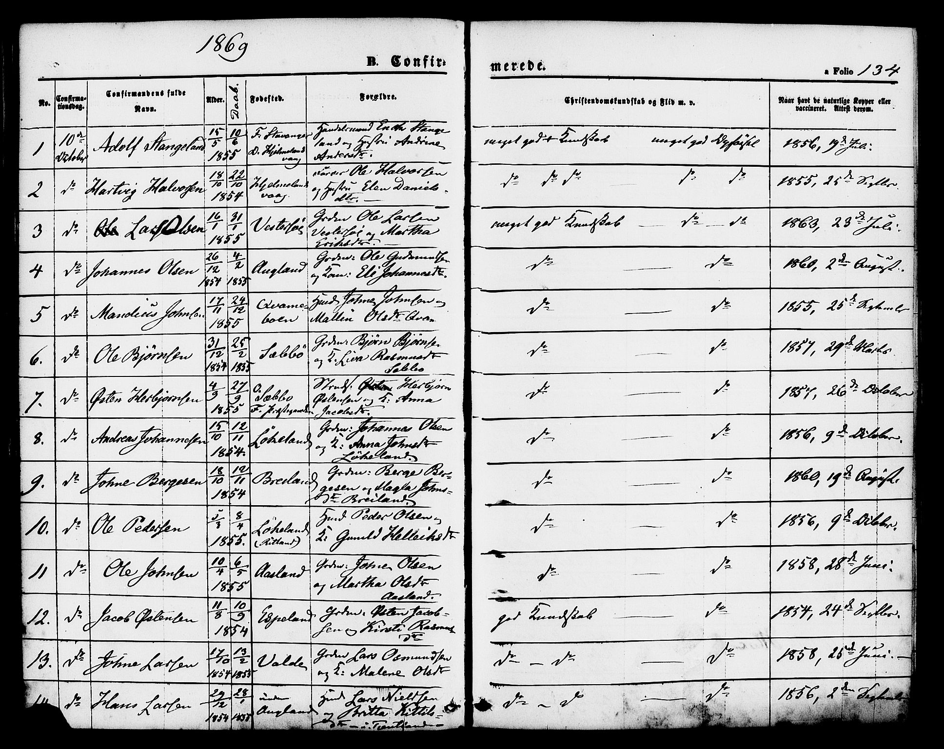 Hjelmeland sokneprestkontor, SAST/A-101843/01/IV/L0011: Parish register (official) no. A 11, 1861-1878, p. 134