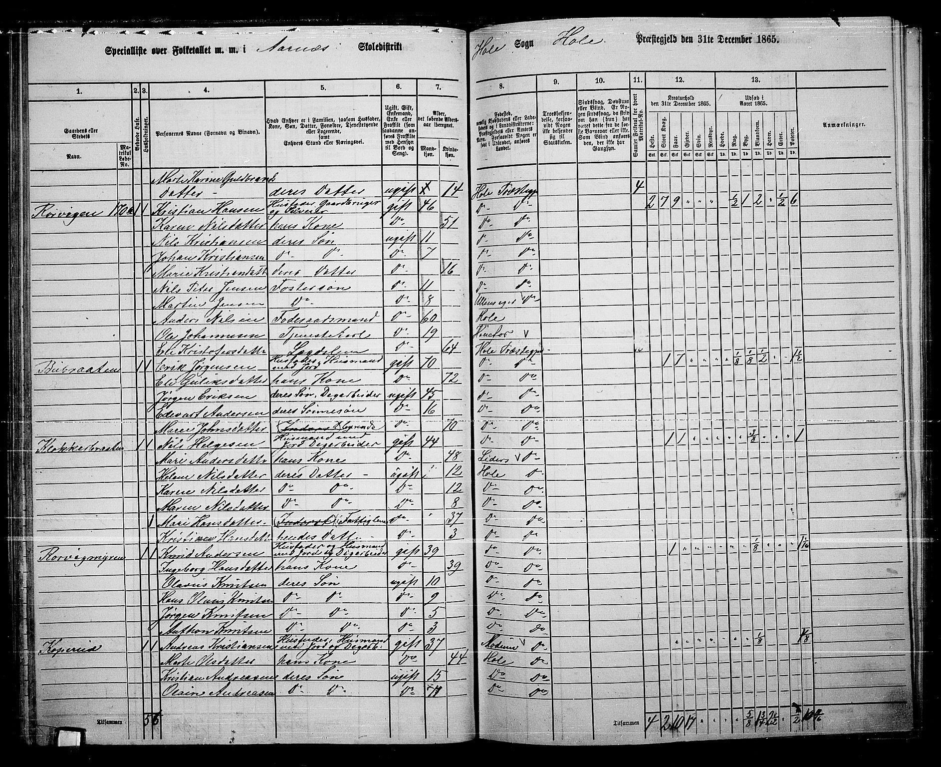 RA, 1865 census for Hole, 1865, p. 57