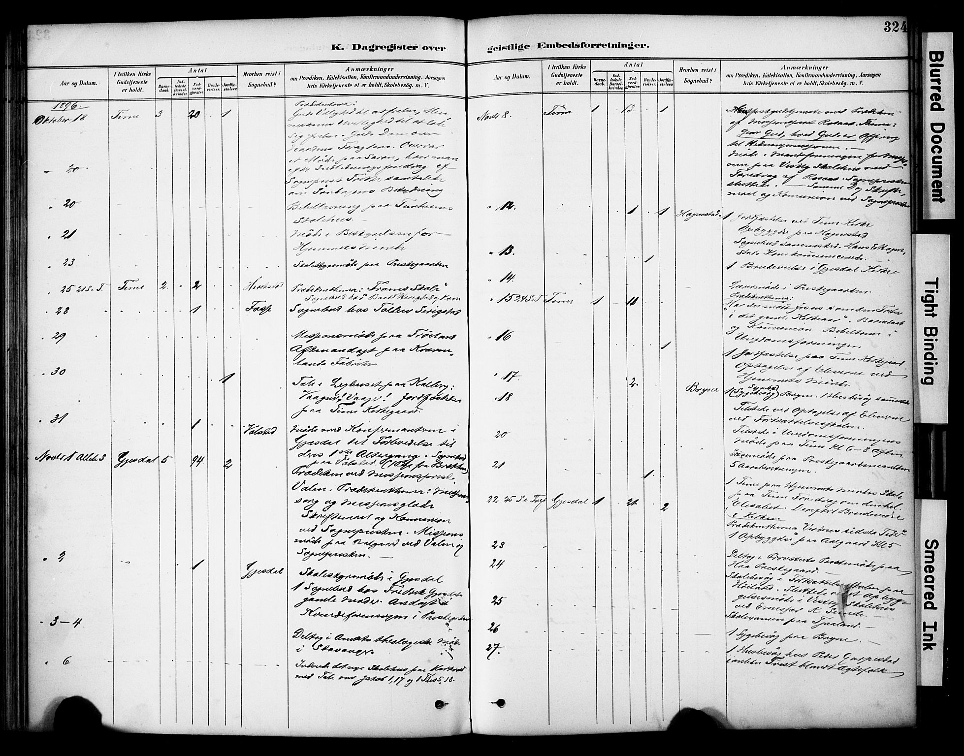 Lye sokneprestkontor, SAST/A-101794/001/30BA/L0011: Parish register (official) no. A 9, 1893-1903, p. 324