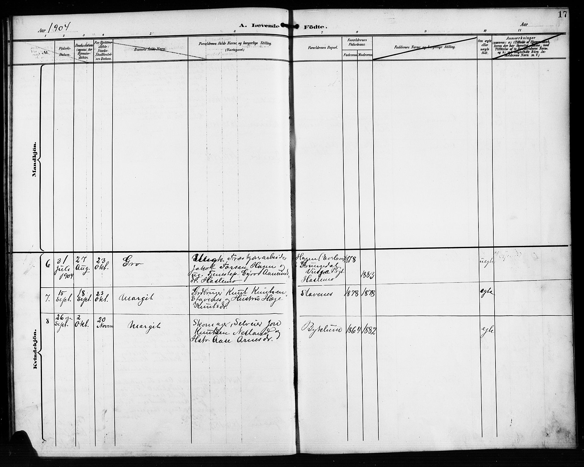 Valle sokneprestkontor, AV/SAK-1111-0044/F/Fb/Fba/L0003: Parish register (copy) no. B 3, 1895-1916, p. 17