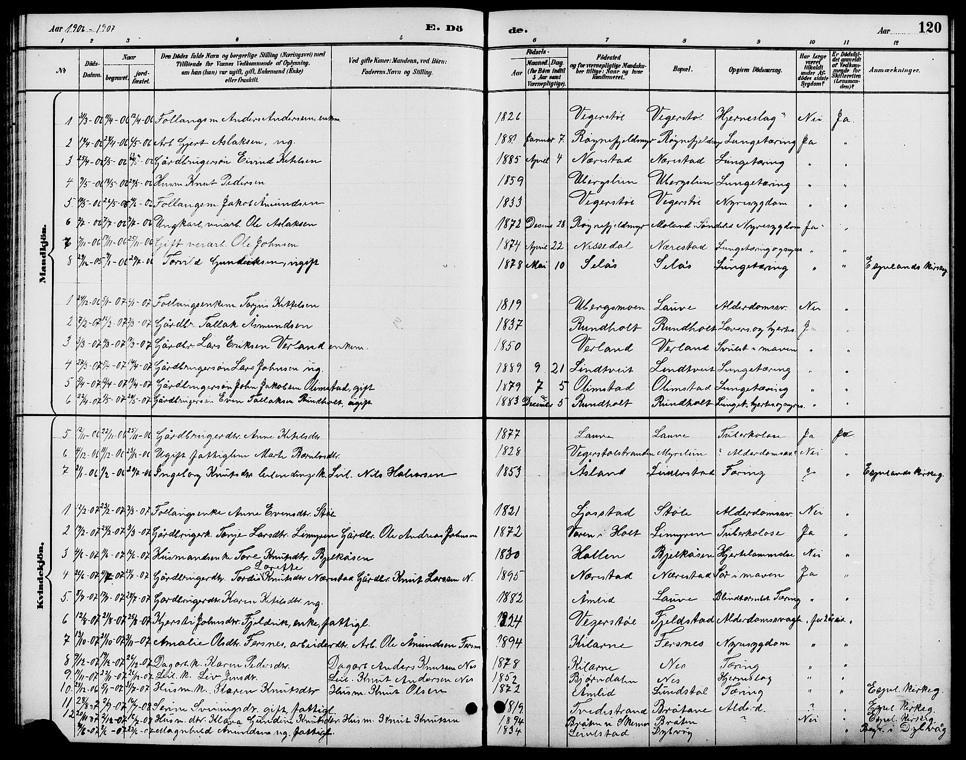 Gjerstad sokneprestkontor, SAK/1111-0014/F/Fb/Fbb/L0004: Parish register (copy) no. B 4, 1890-1910, p. 120
