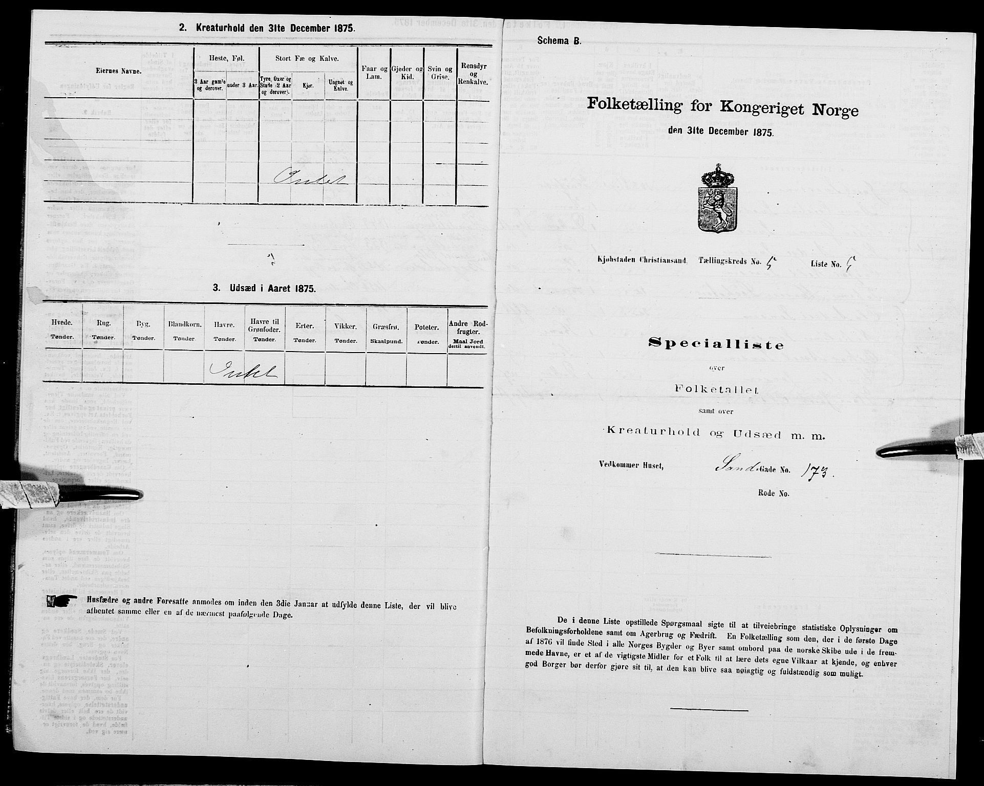 SAK, 1875 census for 1001P Kristiansand, 1875, p. 602